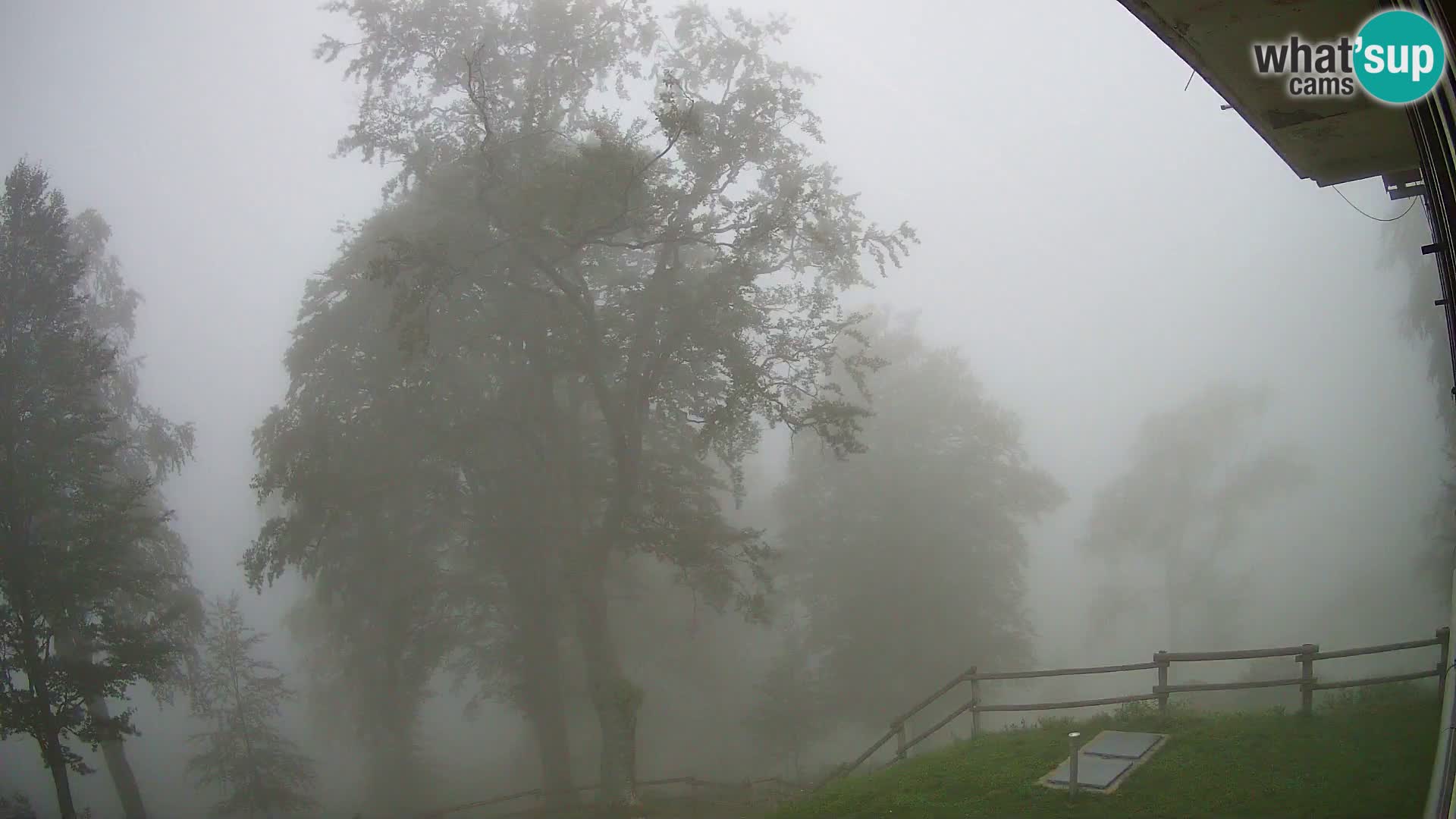 Planina Razor Mountain Hut live cam (1315) | view to Tolminski Migovec