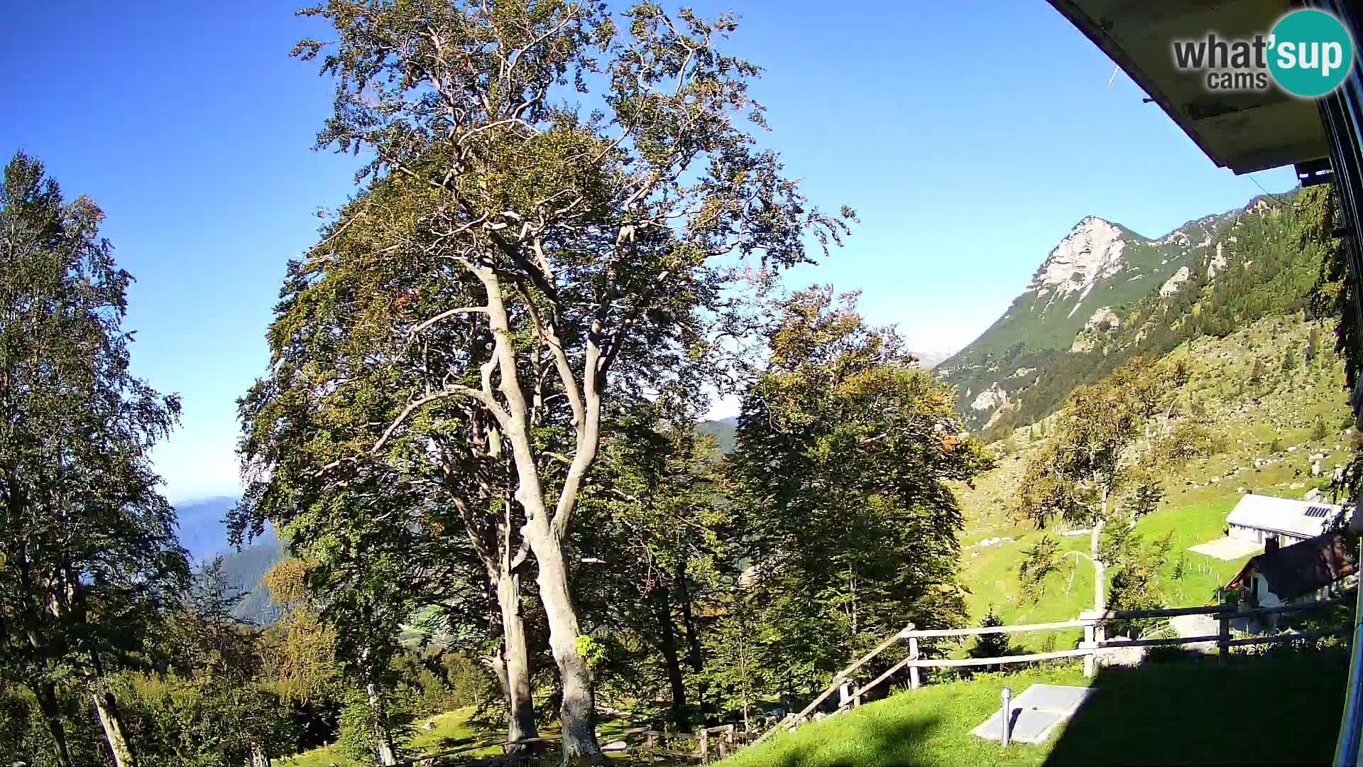 Cámara en vivo de la cabaña de montaña Planina Razor (1315) | vista hacia Tolminski Migovec