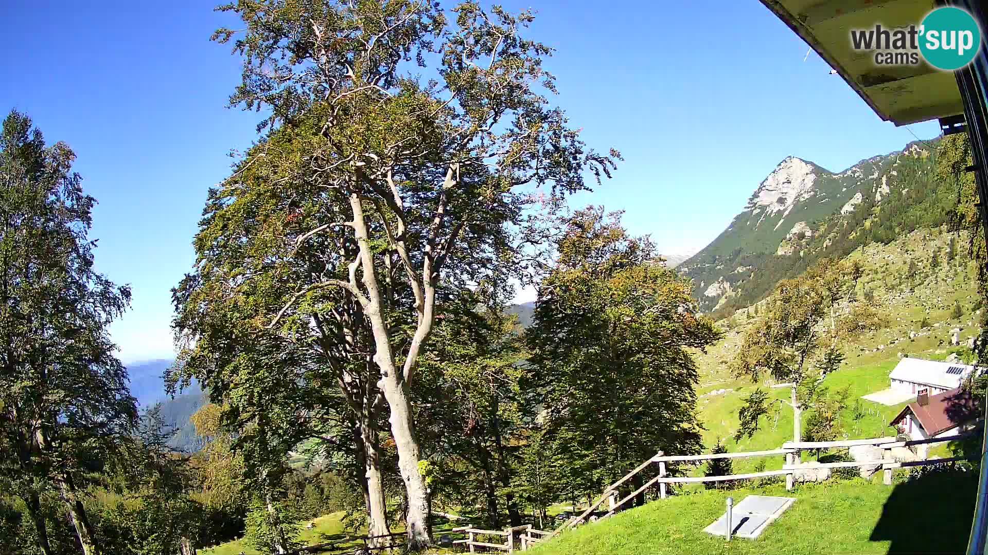 Planina Razor Bergütte Webcam (1315) | Blick auf Tolminski Migovec