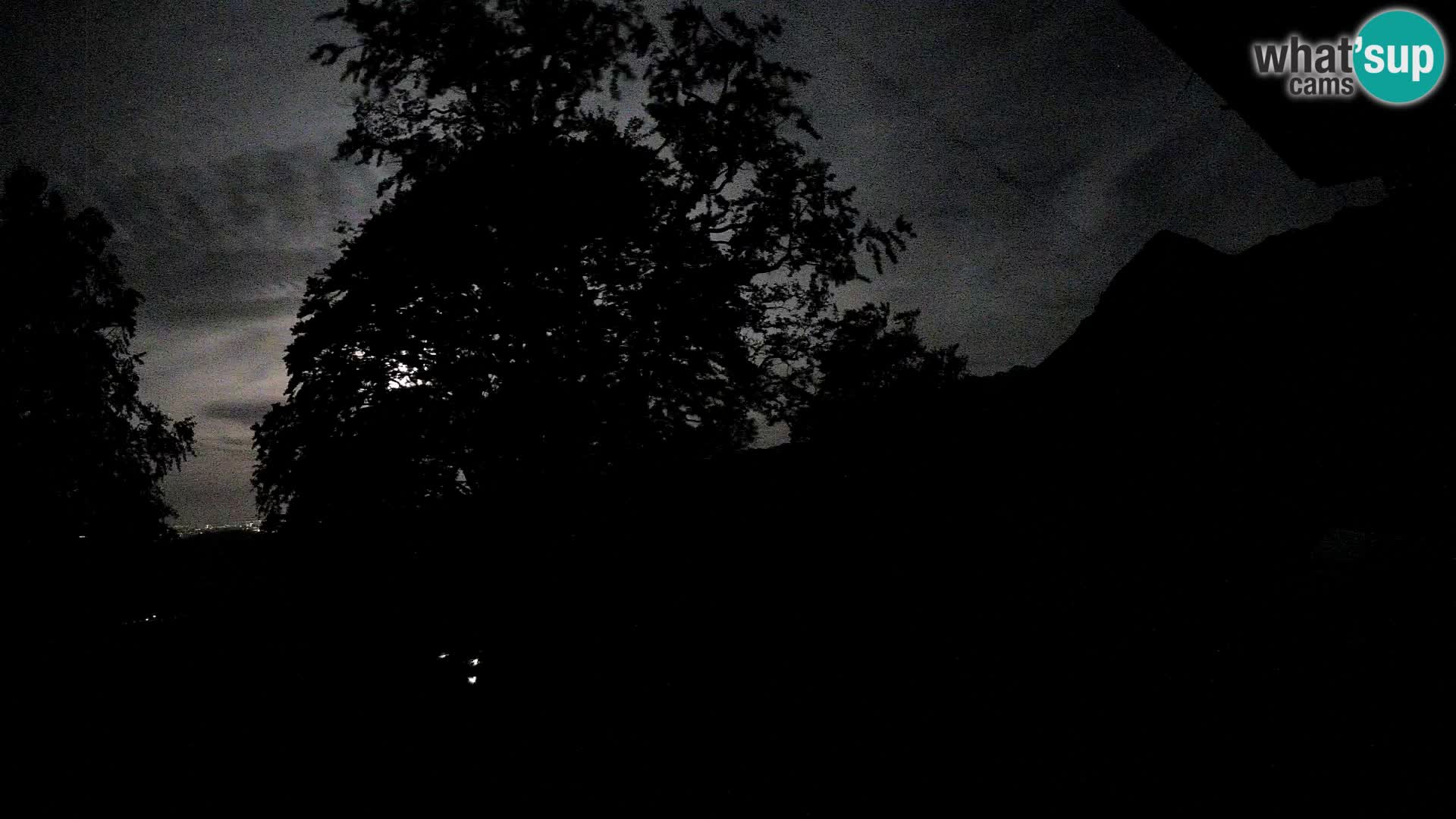 Cámara en vivo de la cabaña de montaña Planina Razor (1315) | vista hacia Tolminski Migovec