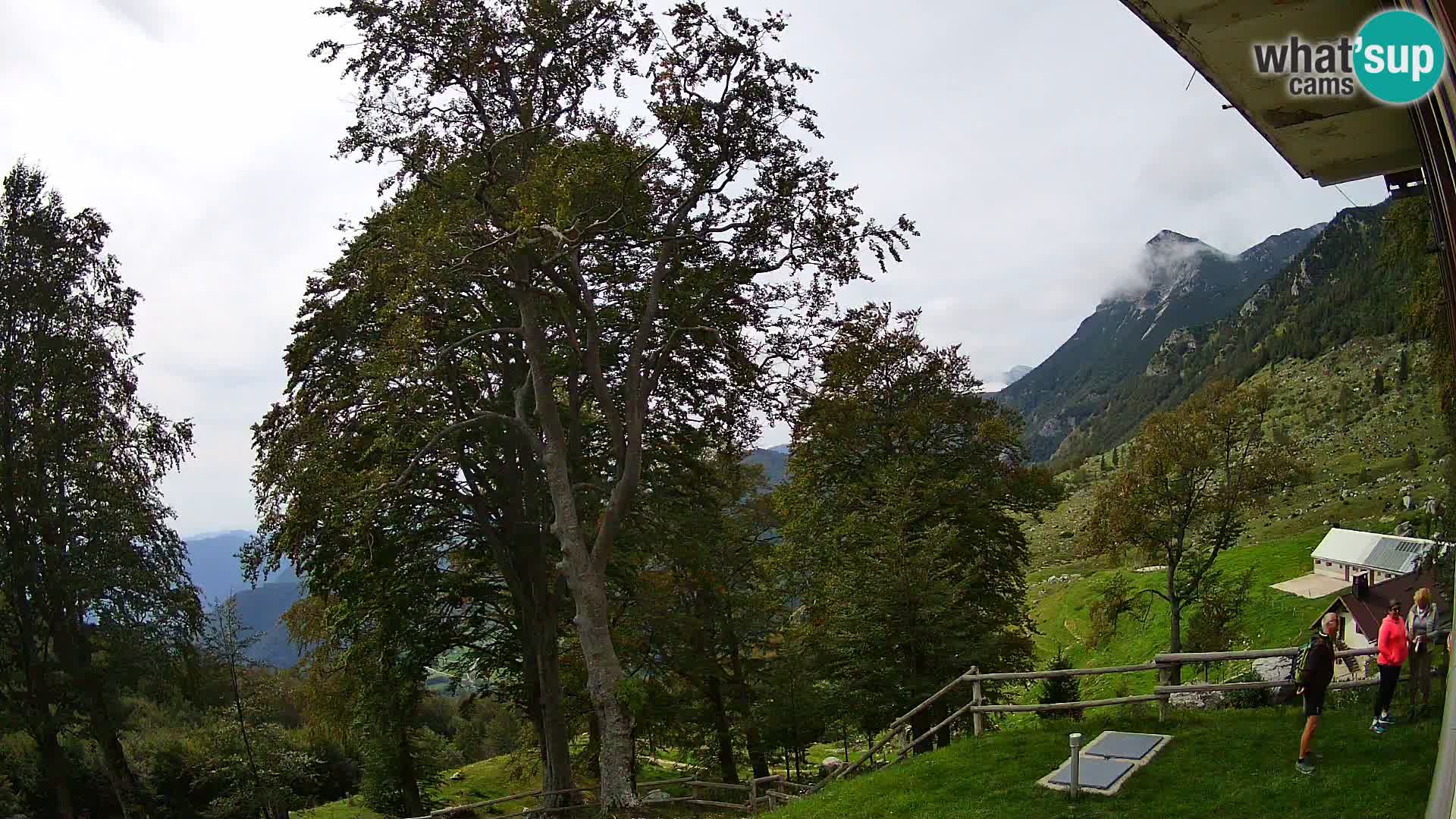 Planina Razor Bergütte Webcam (1315) | Blick auf Tolminski Migovec