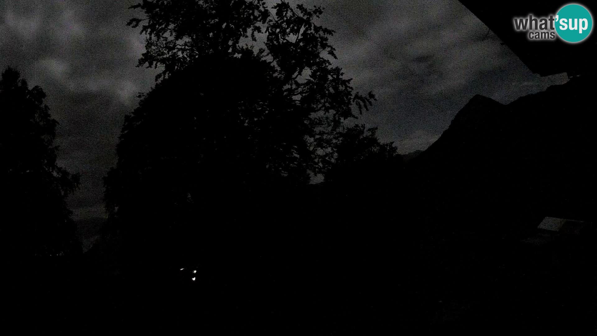 Planina Razor Bergütte Webcam (1315) | Blick auf Tolminski Migovec