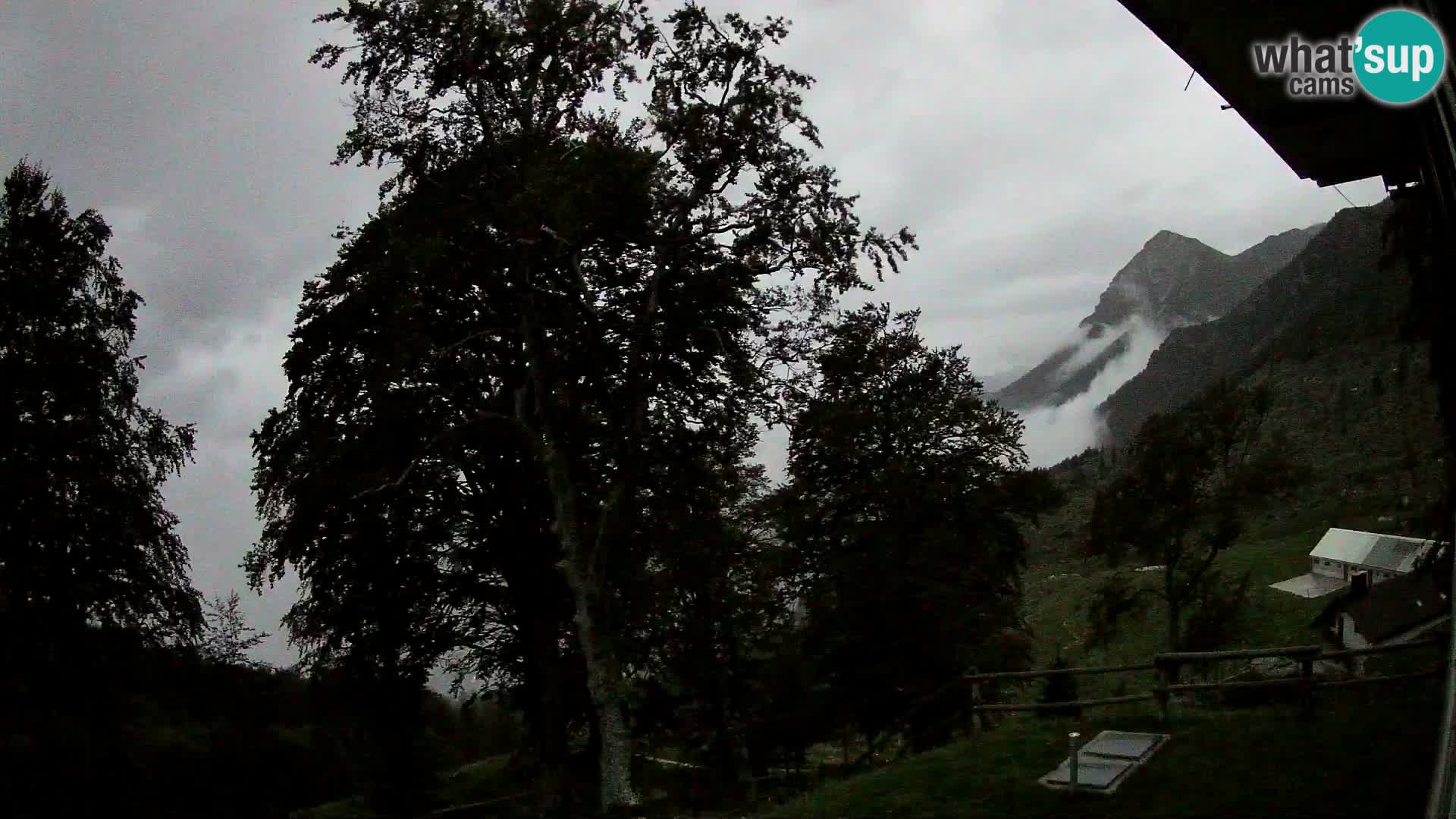 Baita di montagna Planina Razor webcam (1315) | vista su Tolminski Migovec
