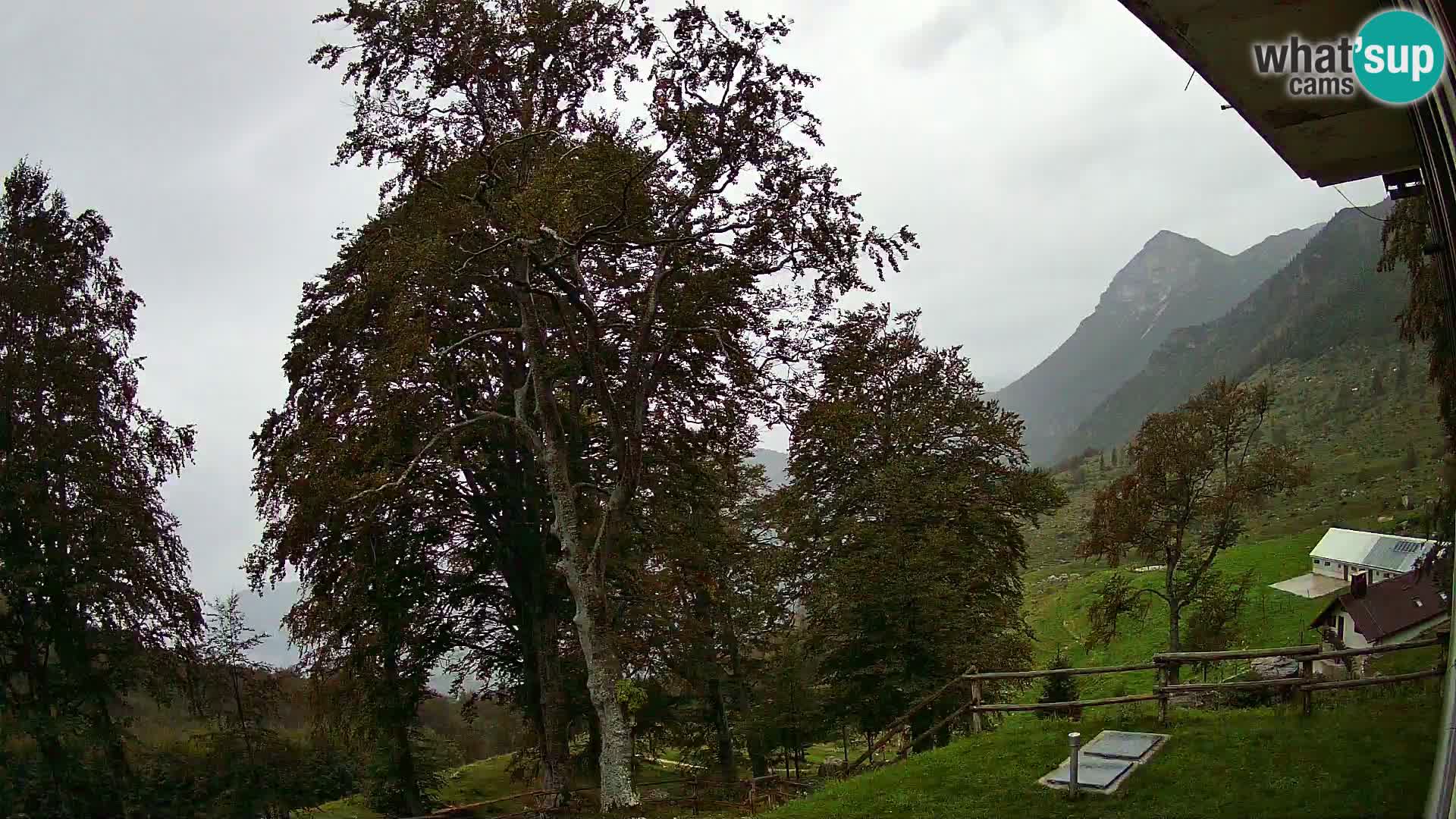 Baita di montagna Planina Razor webcam (1315) | vista su Tolminski Migovec