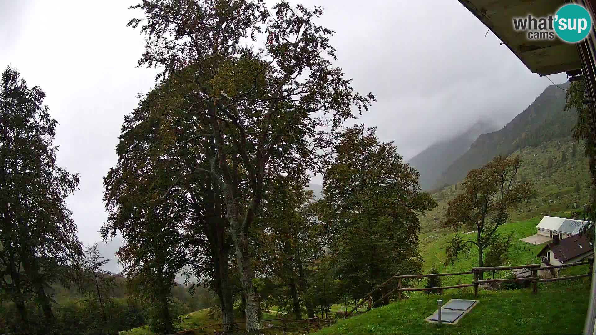 Baita di montagna Planina Razor webcam (1315) | vista su Tolminski Migovec
