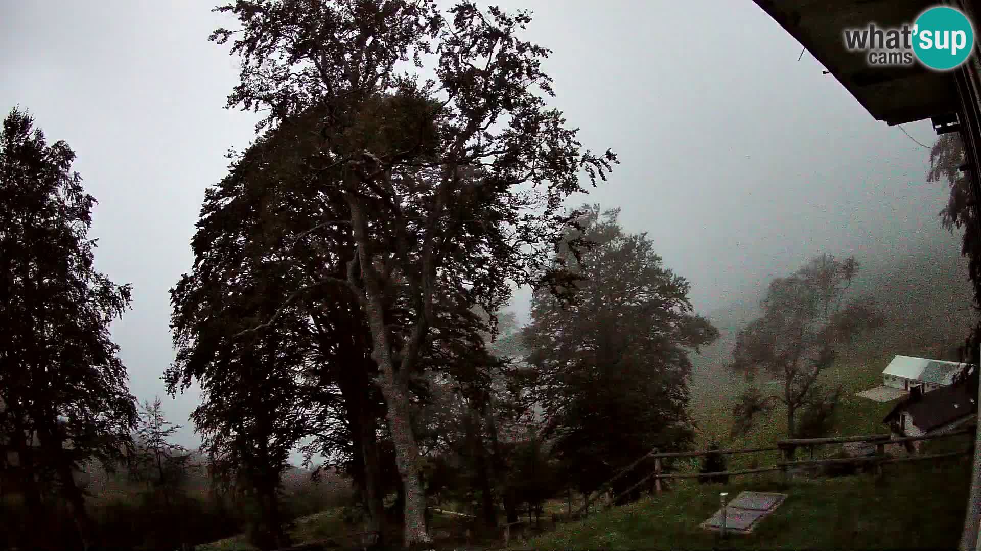 Baita di montagna Planina Razor webcam (1315) | vista su Tolminski Migovec
