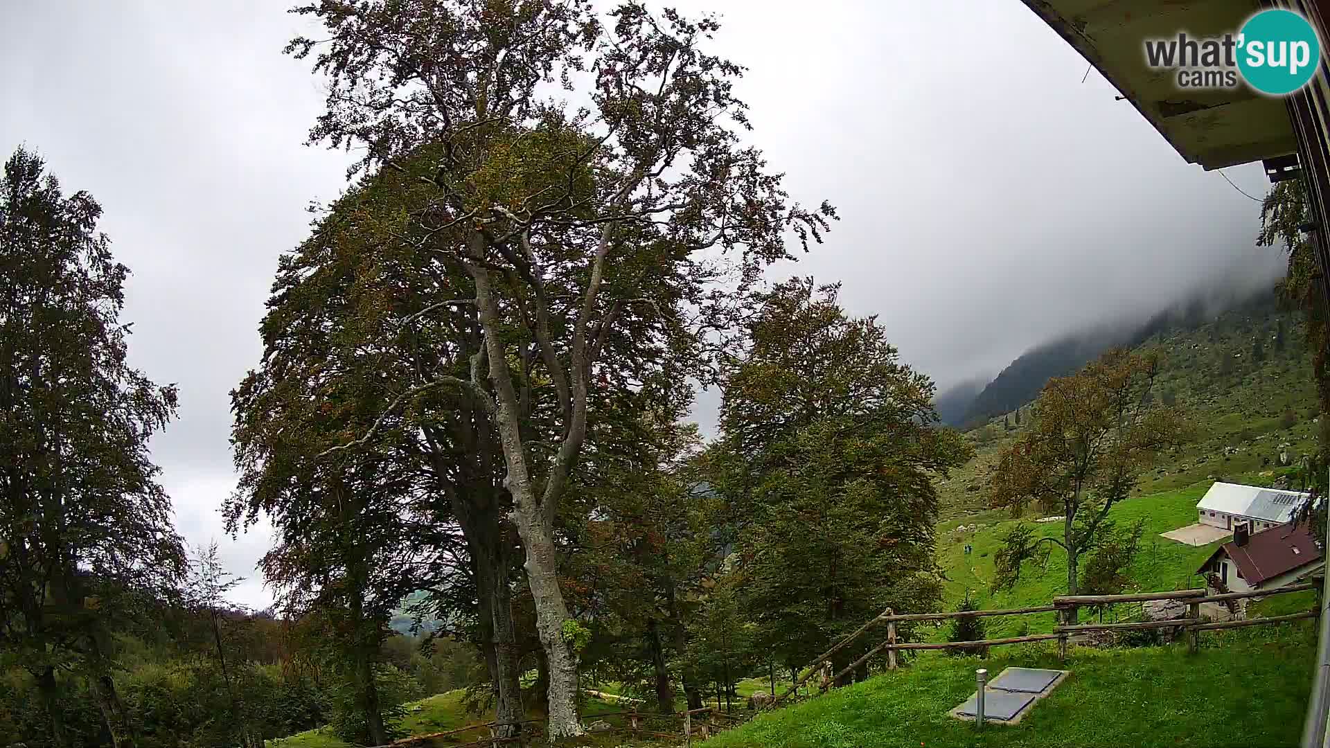 Planina Razor Mountain Hut live cam (1315) | view to Tolminski Migovec