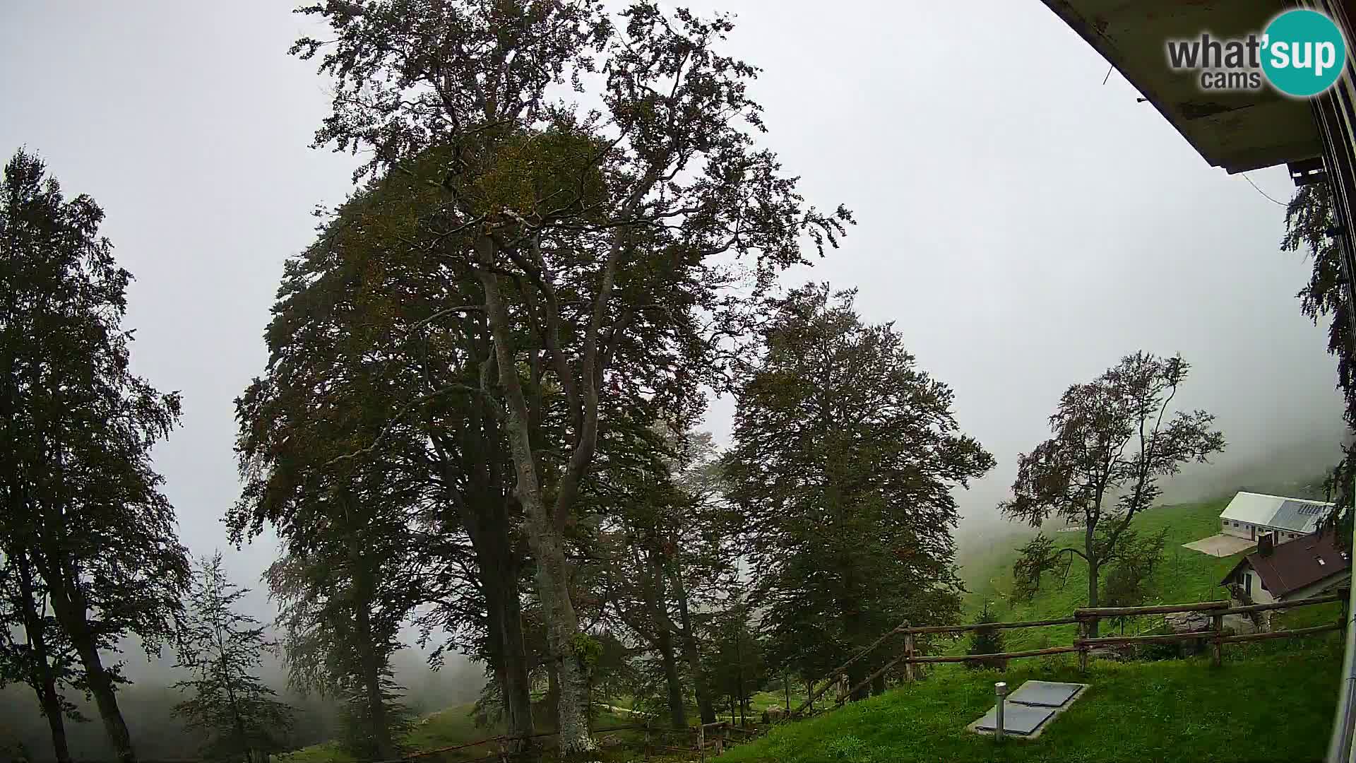 Planina Razor Bergütte Webcam (1315) | Blick auf Tolminski Migovec