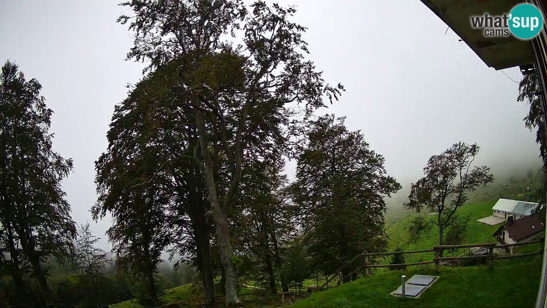 Refuge de la montagne Planina Razor caméra en direct (1315) | vue sur Tolminski Migovec