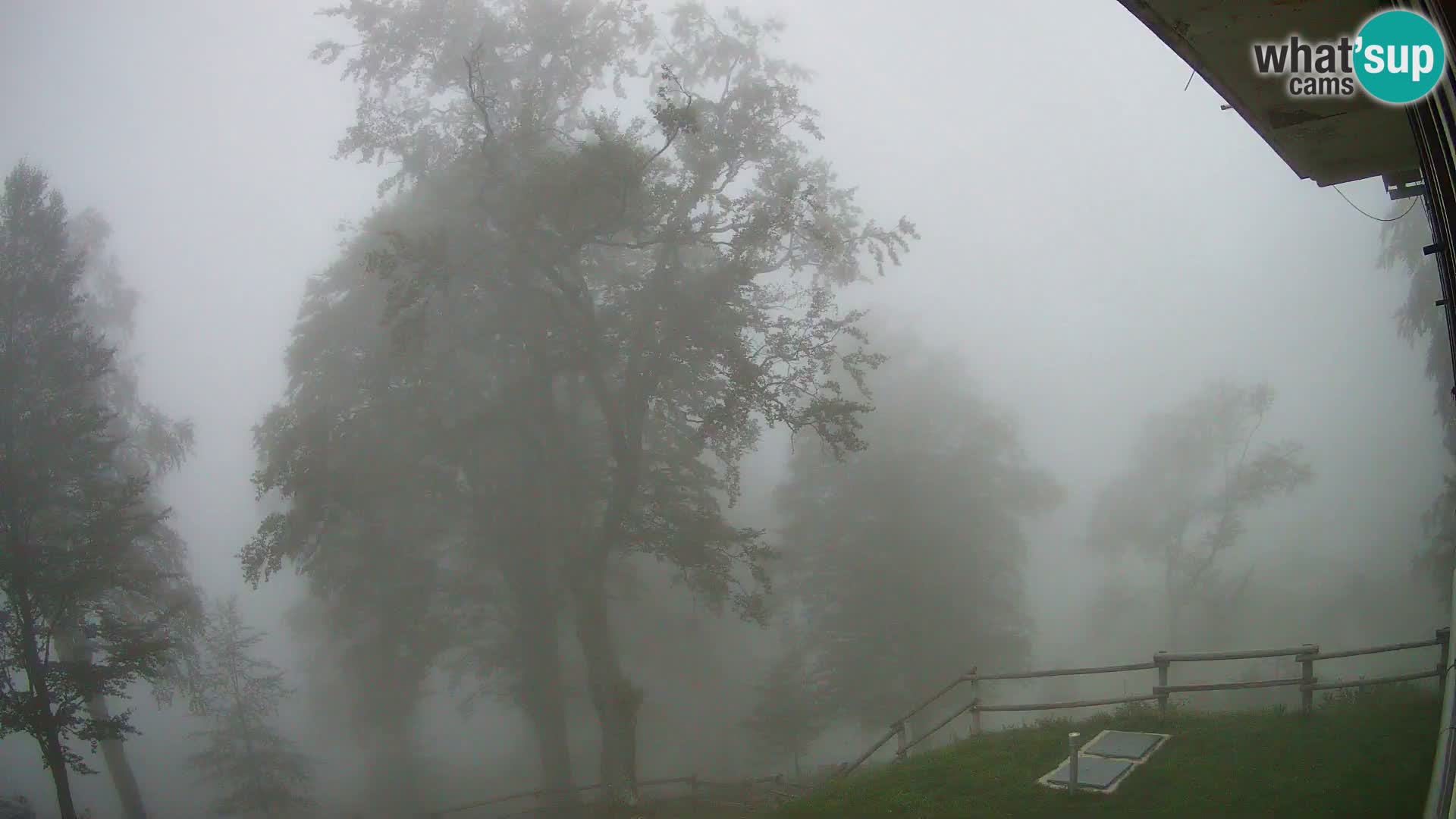 Planina Razor Bergütte Webcam (1315) | Blick auf Tolminski Migovec