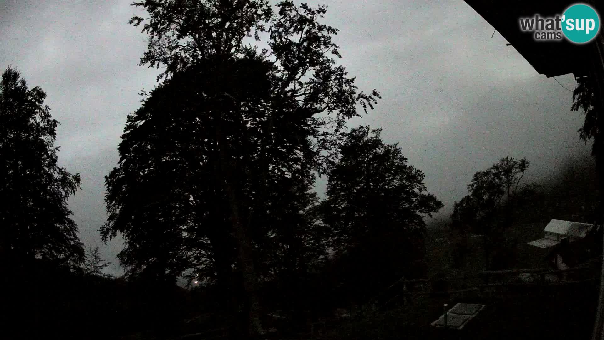 Planina Razor Mountain Hut live cam (1315) | view to Tolminski Migovec