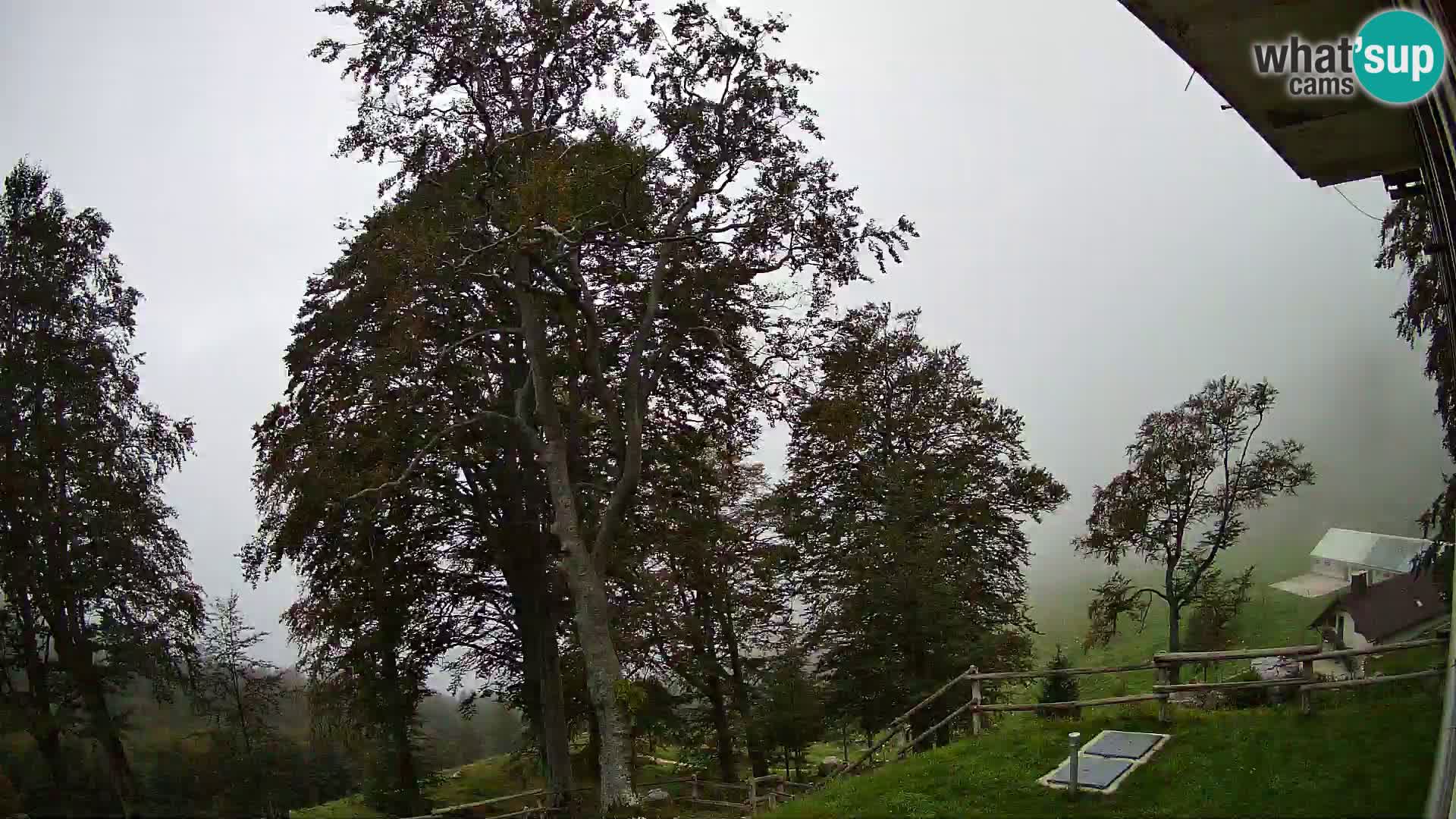 Refuge de la montagne Planina Razor caméra en direct (1315) | vue sur Tolminski Migovec