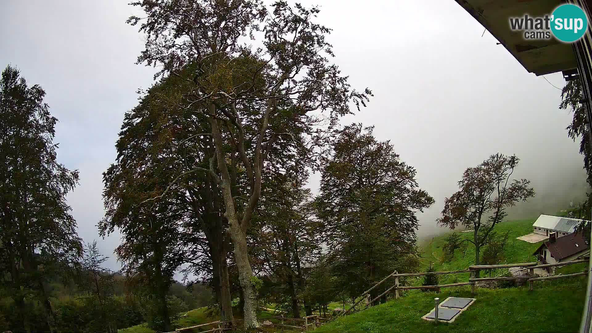 Cámara en vivo de la cabaña de montaña Planina Razor (1315) | vista hacia Tolminski Migovec