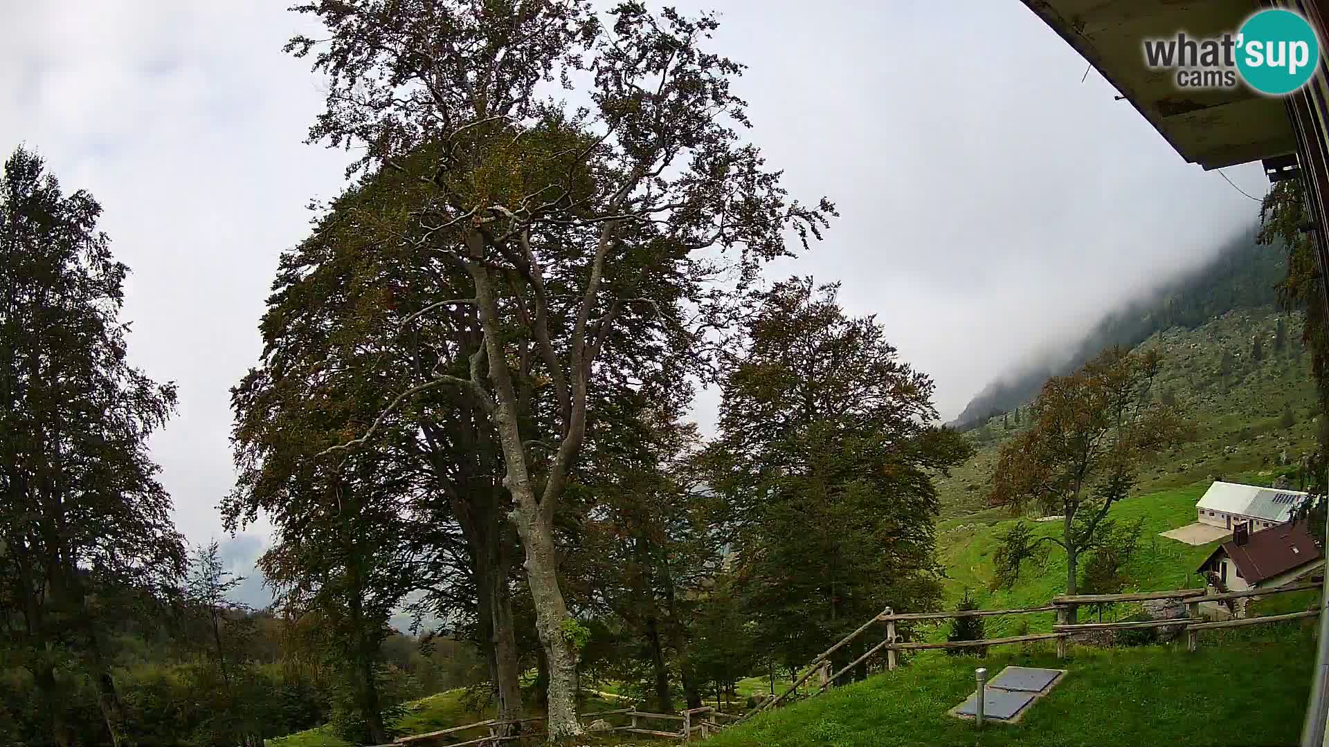 Cámara en vivo de la cabaña de montaña Planina Razor (1315) | vista hacia Tolminski Migovec