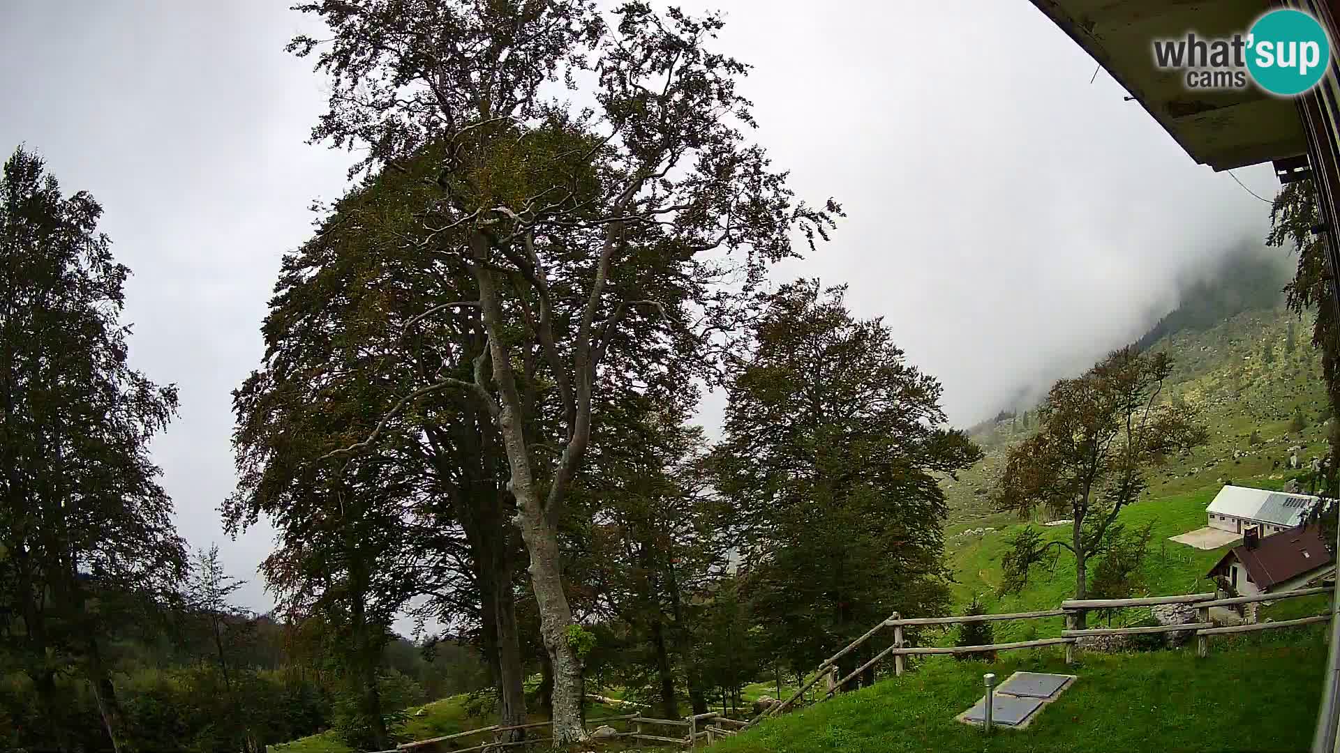 Planina Razor Bergütte Webcam (1315) | Blick auf Tolminski Migovec