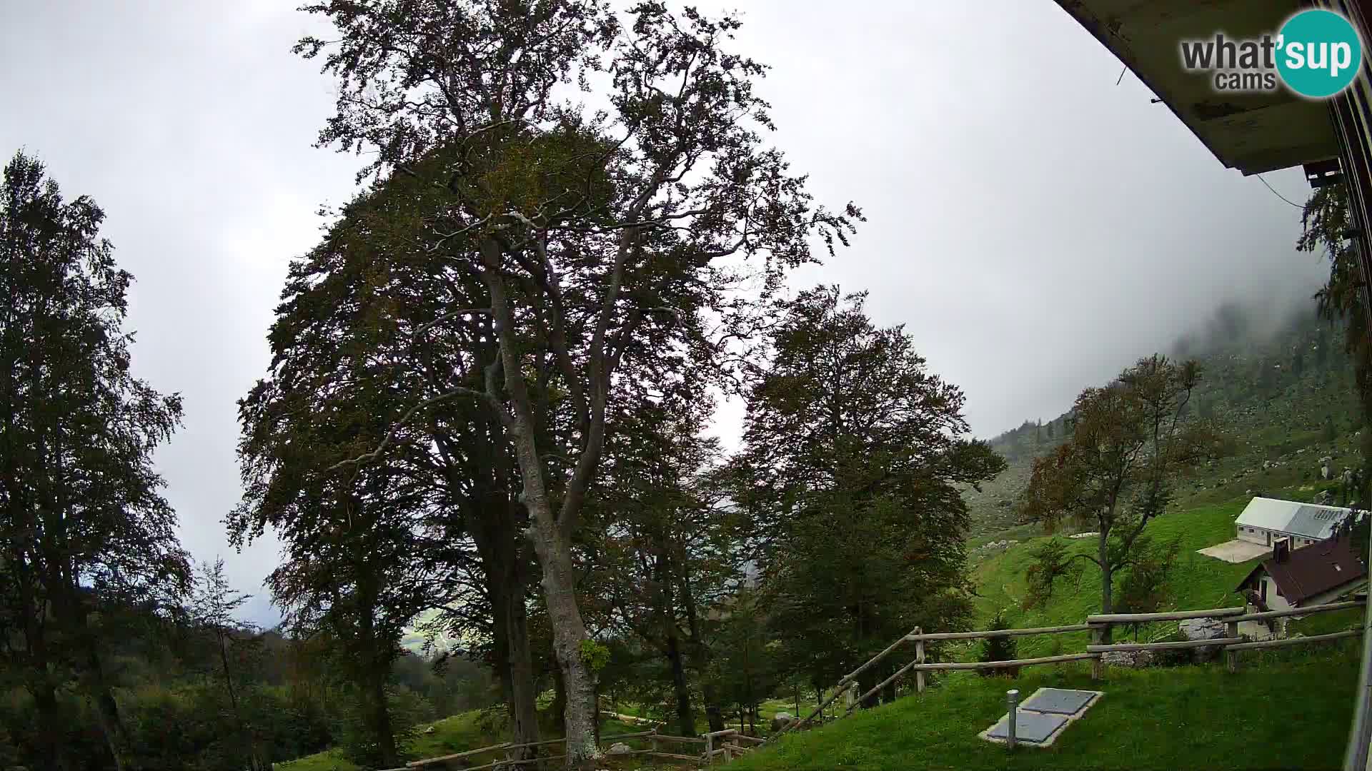 Baita di montagna Planina Razor webcam (1315) | vista su Tolminski Migovec