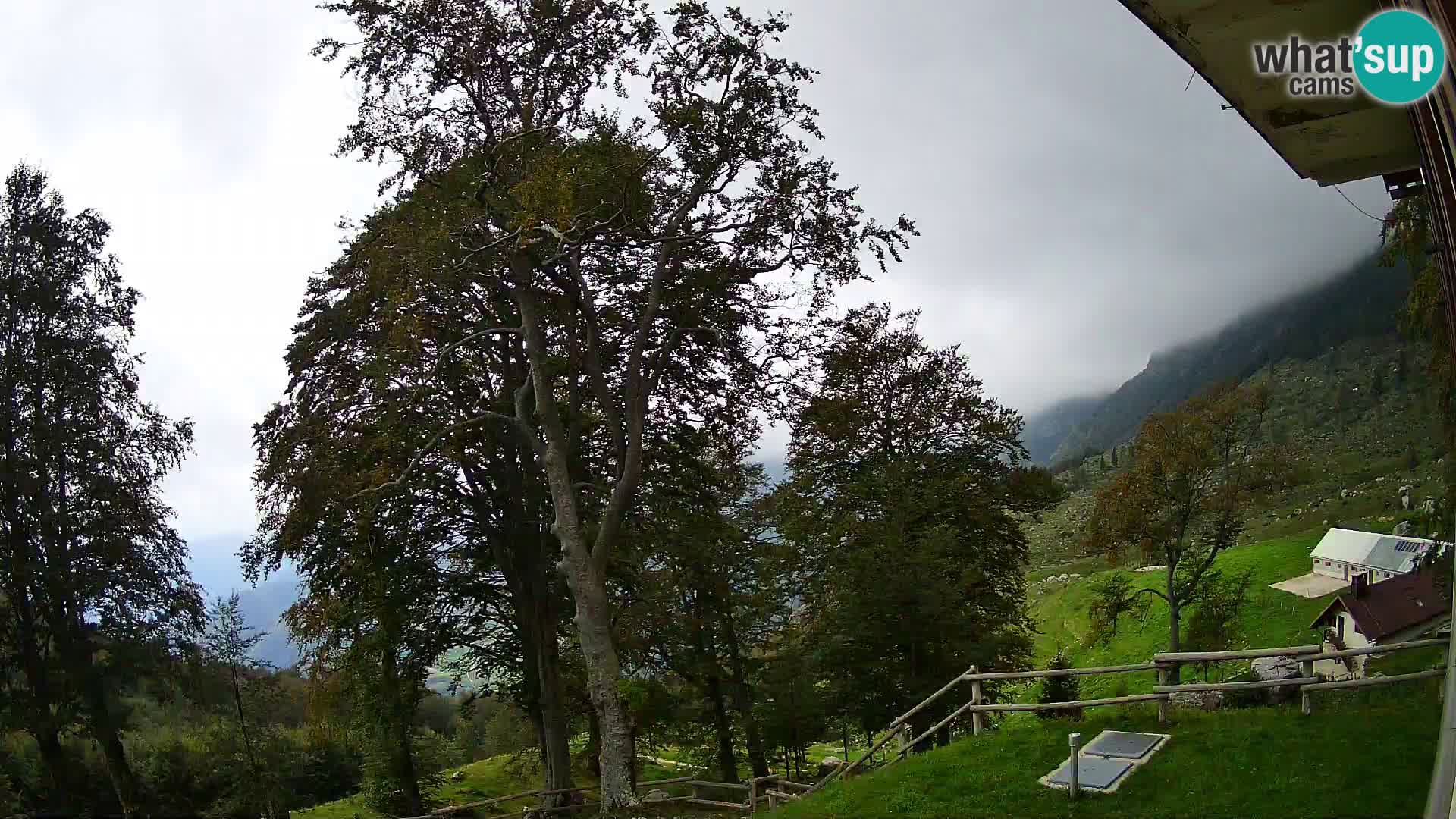 Refuge de la montagne Planina Razor caméra en direct (1315) | vue sur Tolminski Migovec