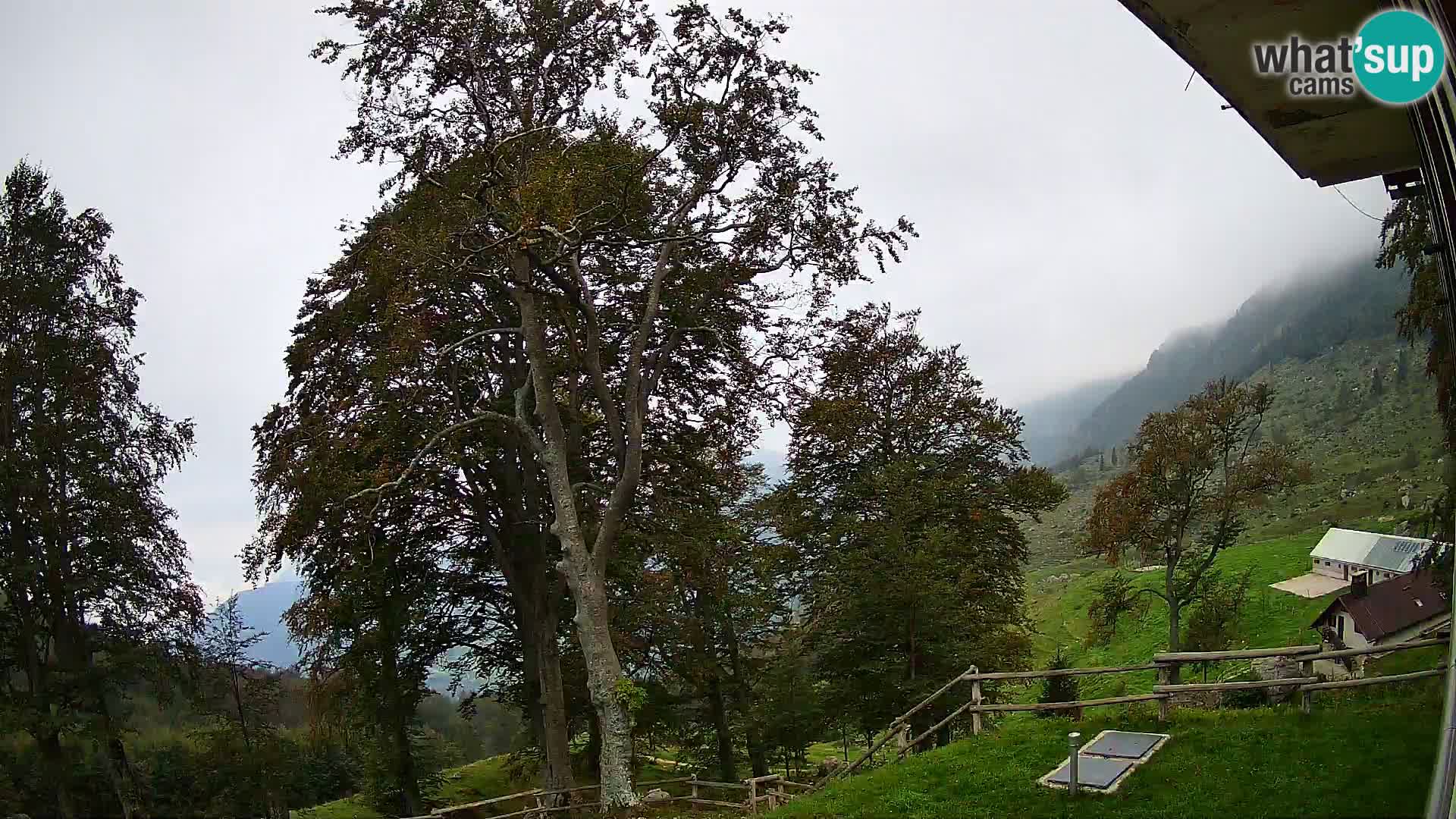 Planina Razor Bergütte Webcam (1315) | Blick auf Tolminski Migovec