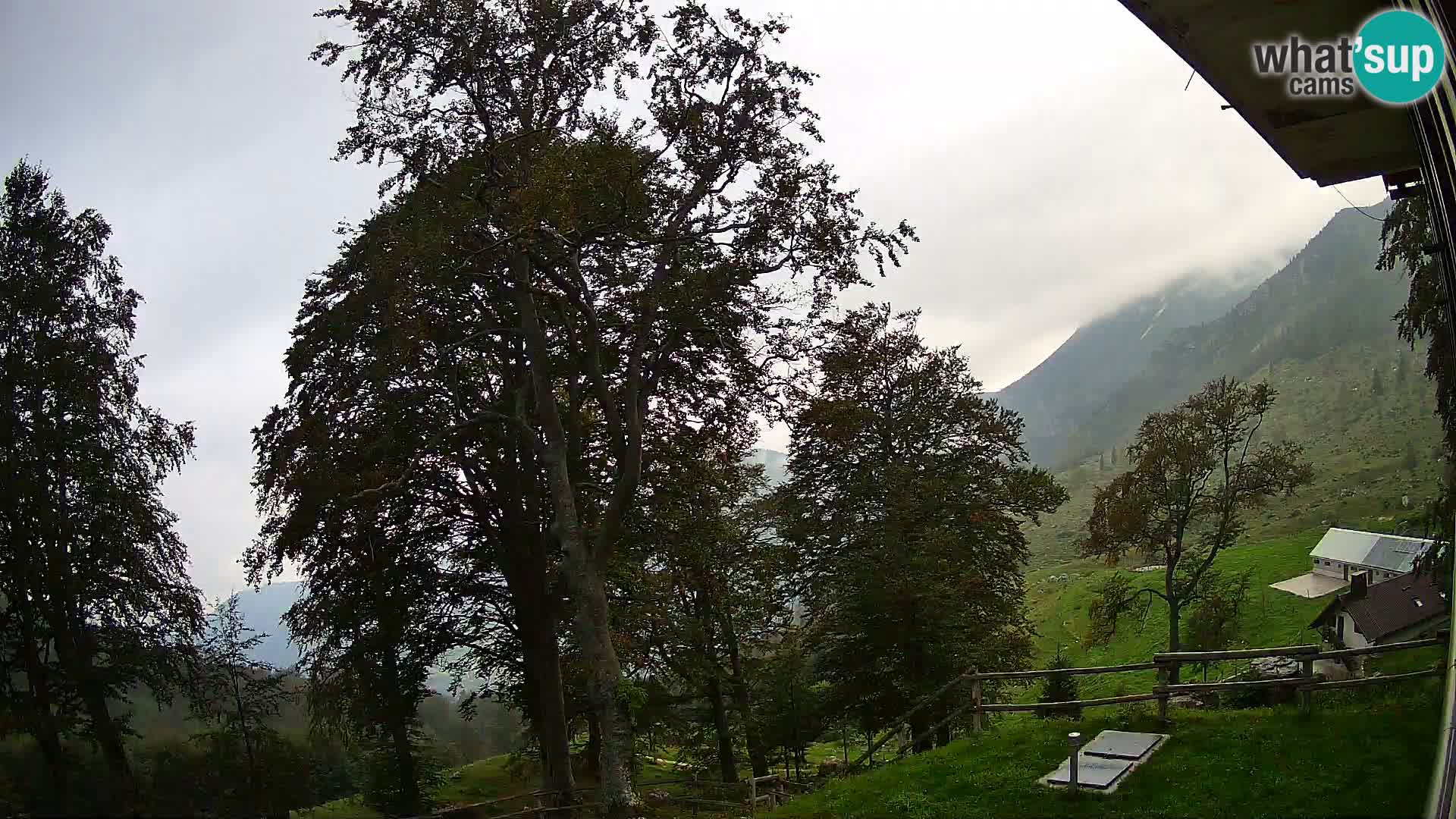 Planina Razor Bergütte Webcam (1315) | Blick auf Tolminski Migovec