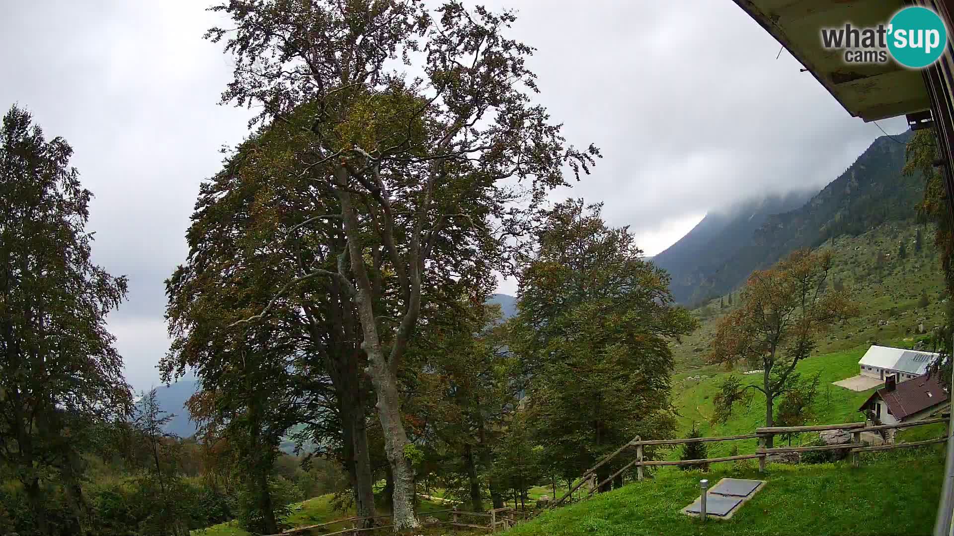 Baita di montagna Planina Razor webcam (1315) | vista su Tolminski Migovec
