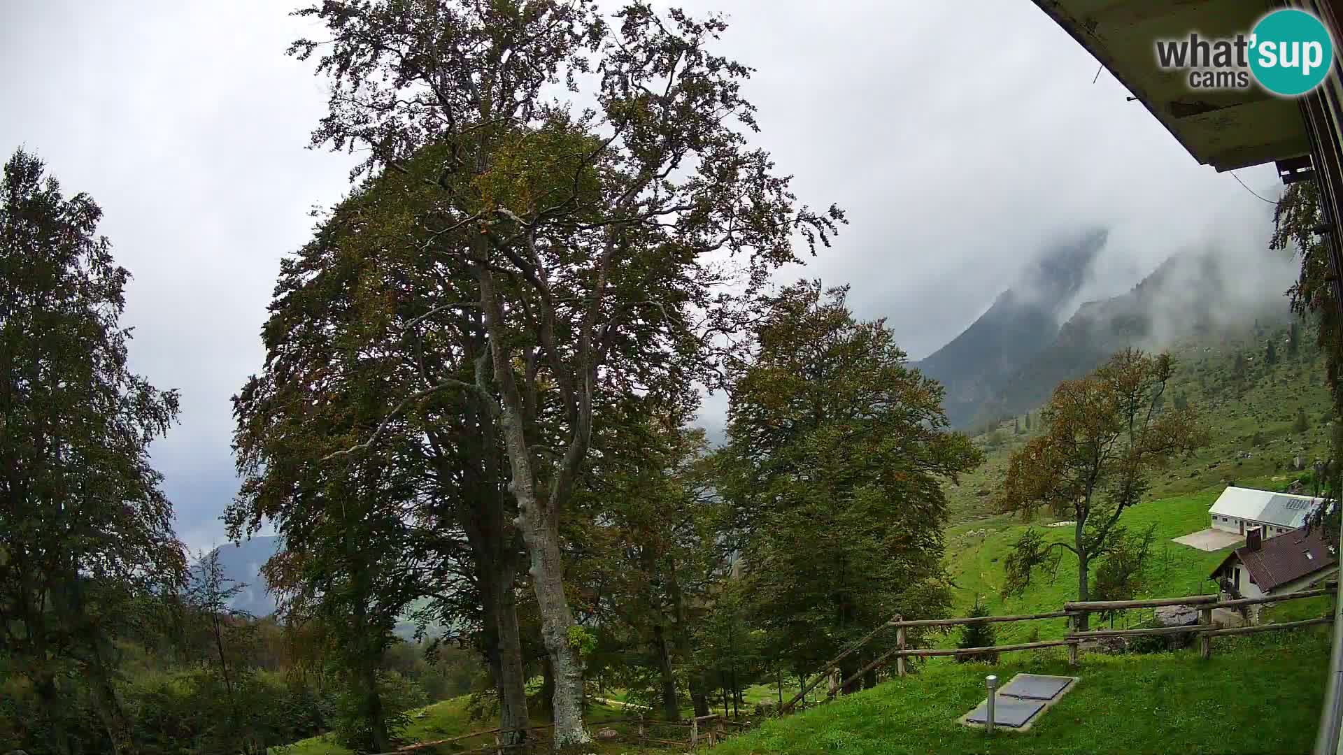 Planina Razor Bergütte Webcam (1315) | Blick auf Tolminski Migovec