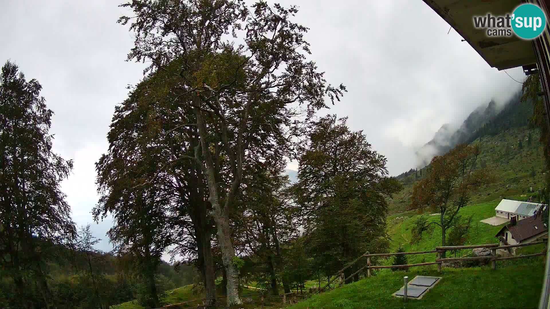 Planina Razor Bergütte Webcam (1315) | Blick auf Tolminski Migovec