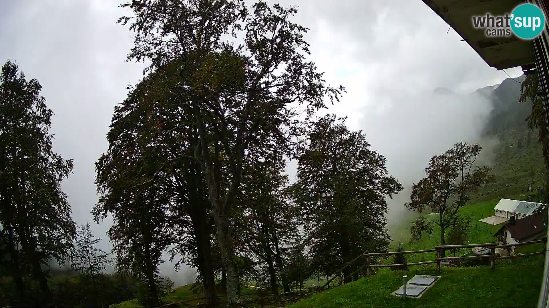 Planina Razor Bergütte Webcam (1315) | Blick auf Tolminski Migovec