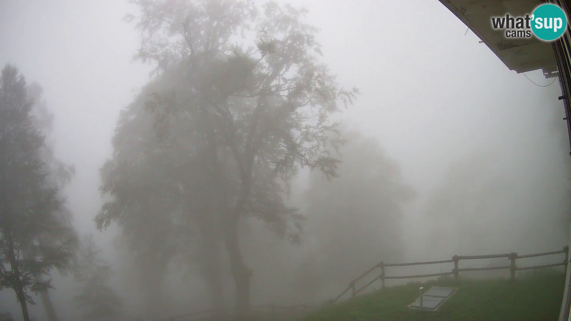 Planina Razor Bergütte Webcam (1315) | Blick auf Tolminski Migovec