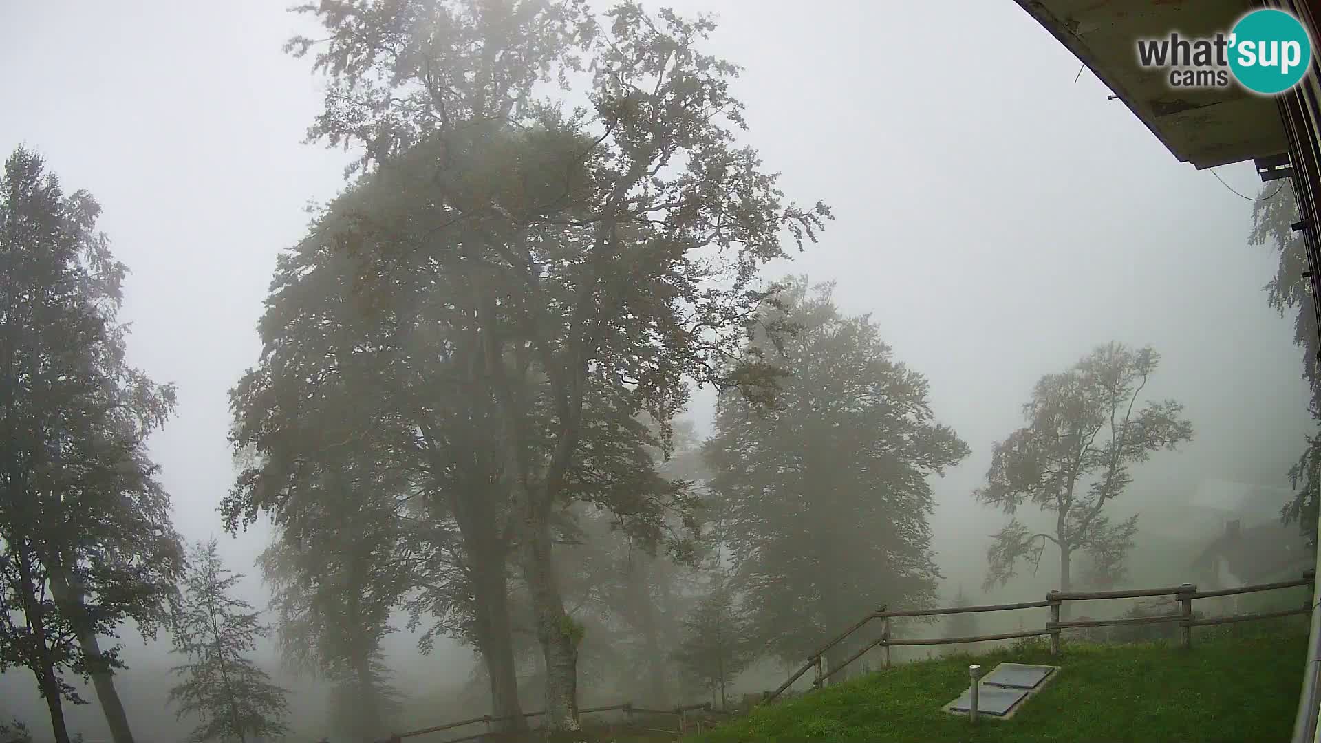Planina Razor Bergütte Webcam (1315) | Blick auf Tolminski Migovec
