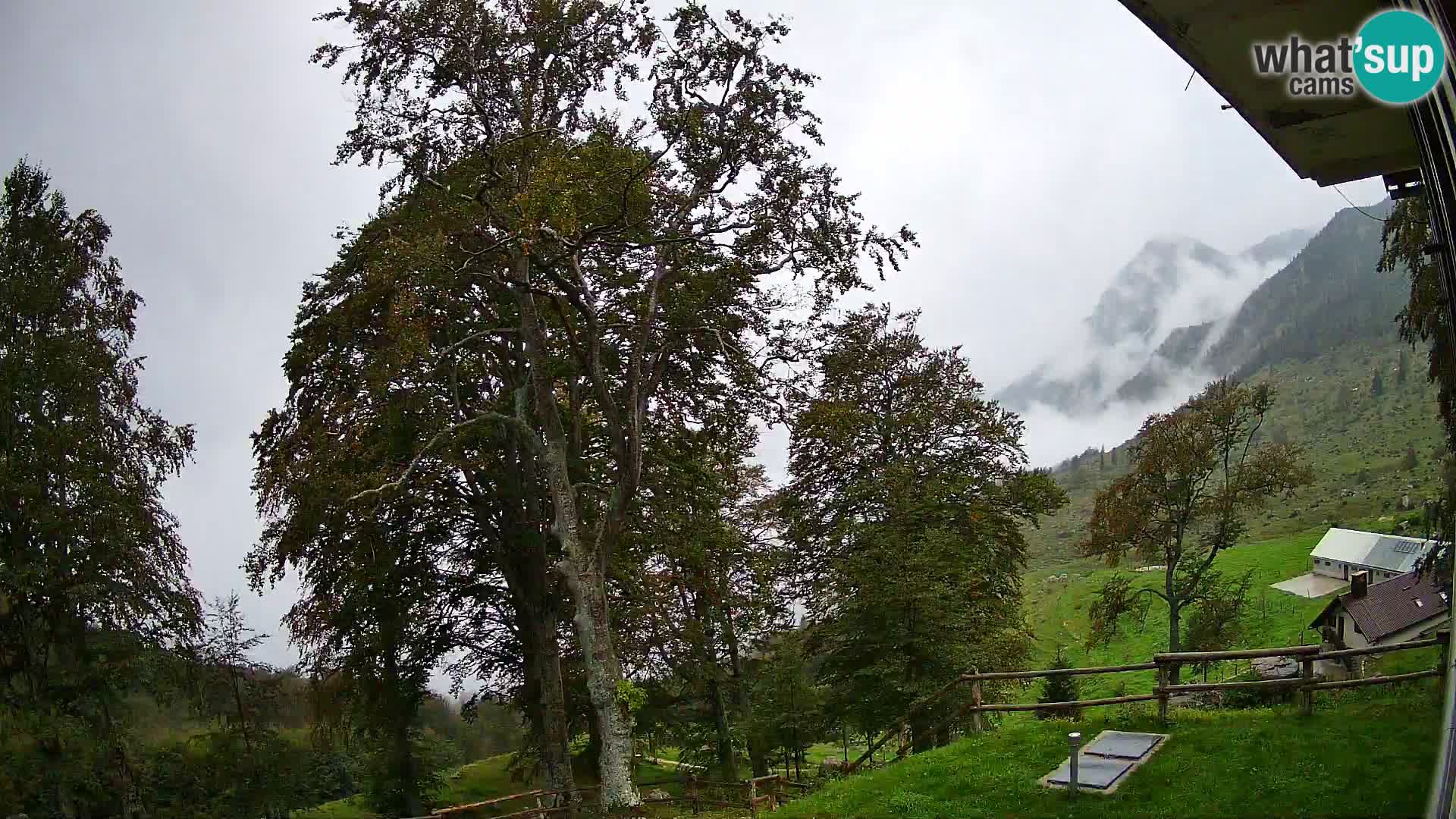 Planina Razor Bergütte Webcam (1315) | Blick auf Tolminski Migovec