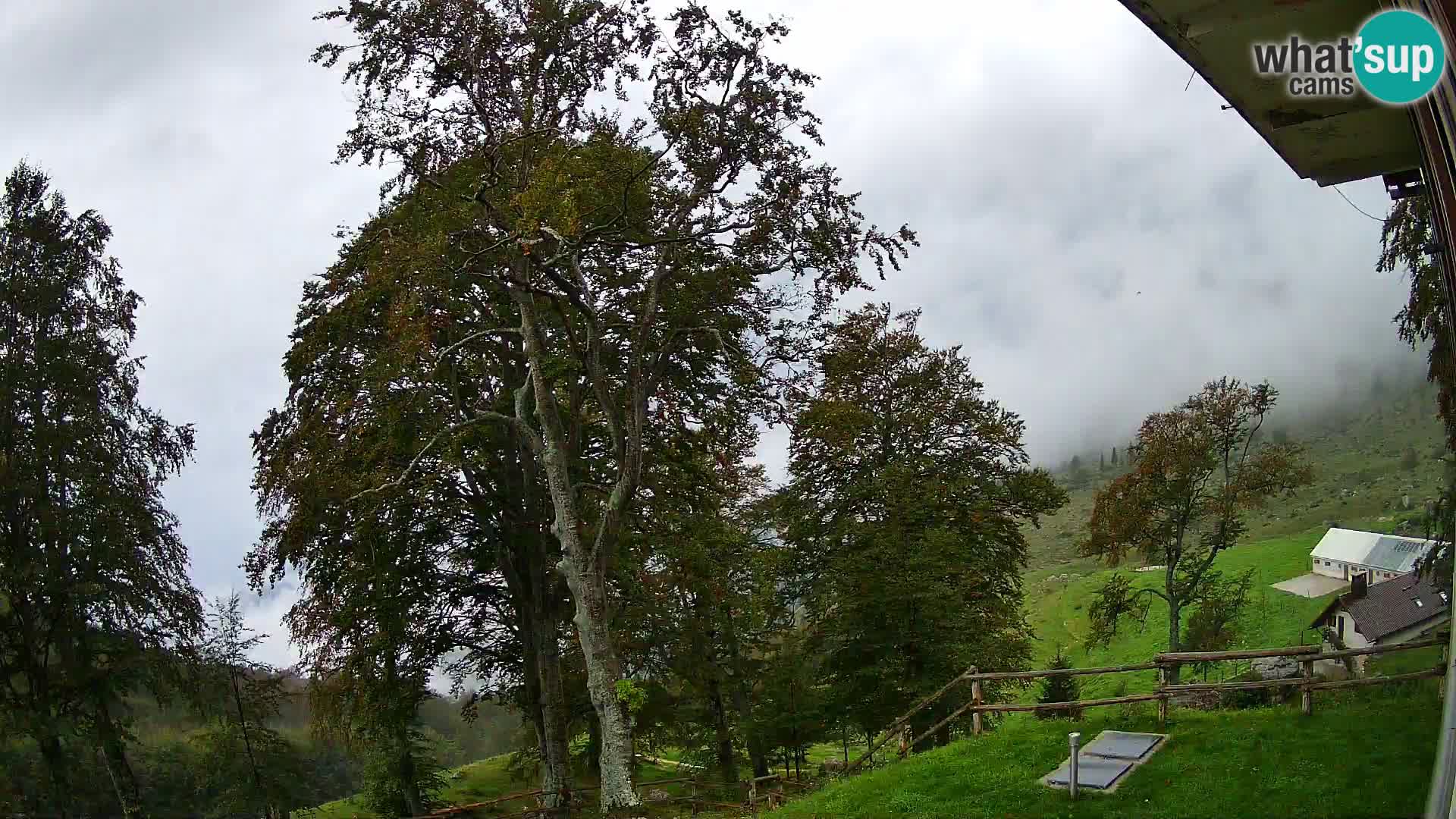 Planina Razor Mountain Hut live cam (1315) | view to Tolminski Migovec