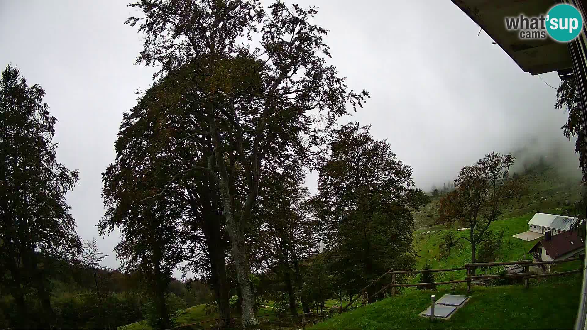 Planina Razor Bergütte Webcam (1315) | Blick auf Tolminski Migovec