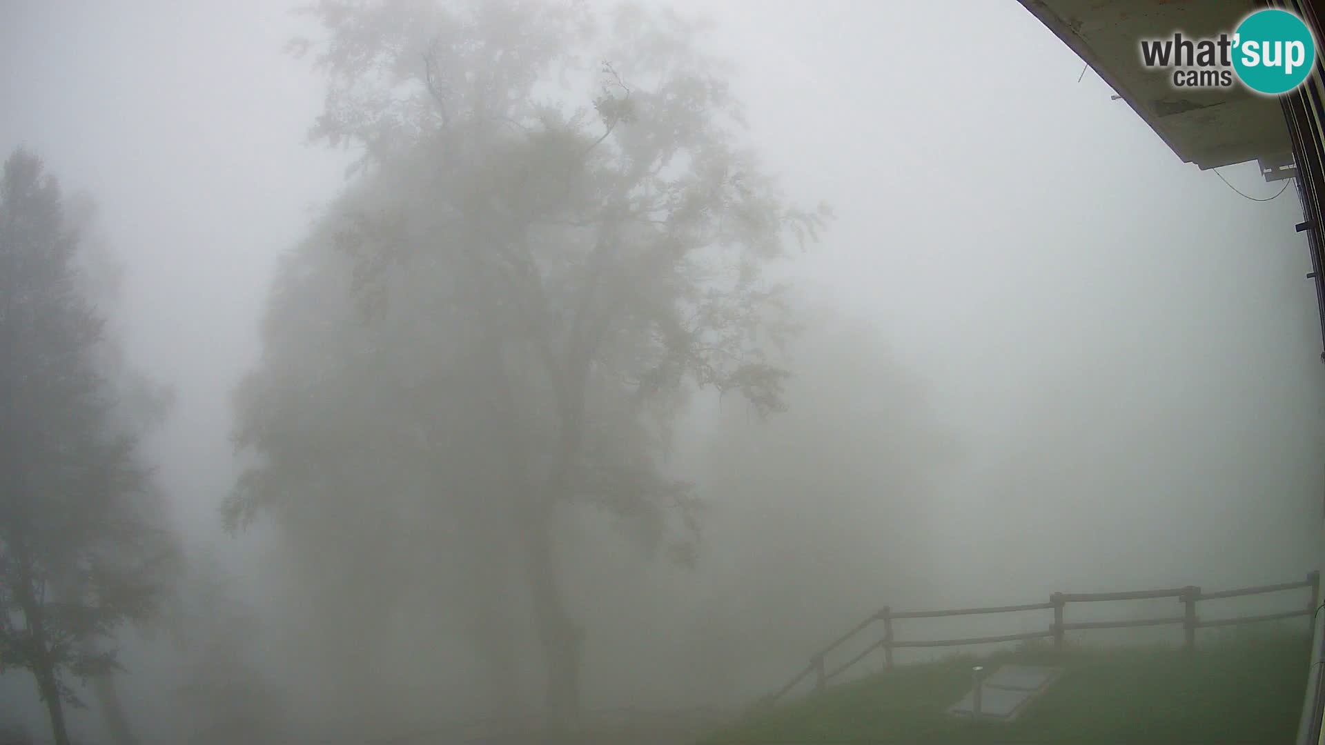 Planina Razor Mountain Hut live cam (1315) | view to Tolminski Migovec