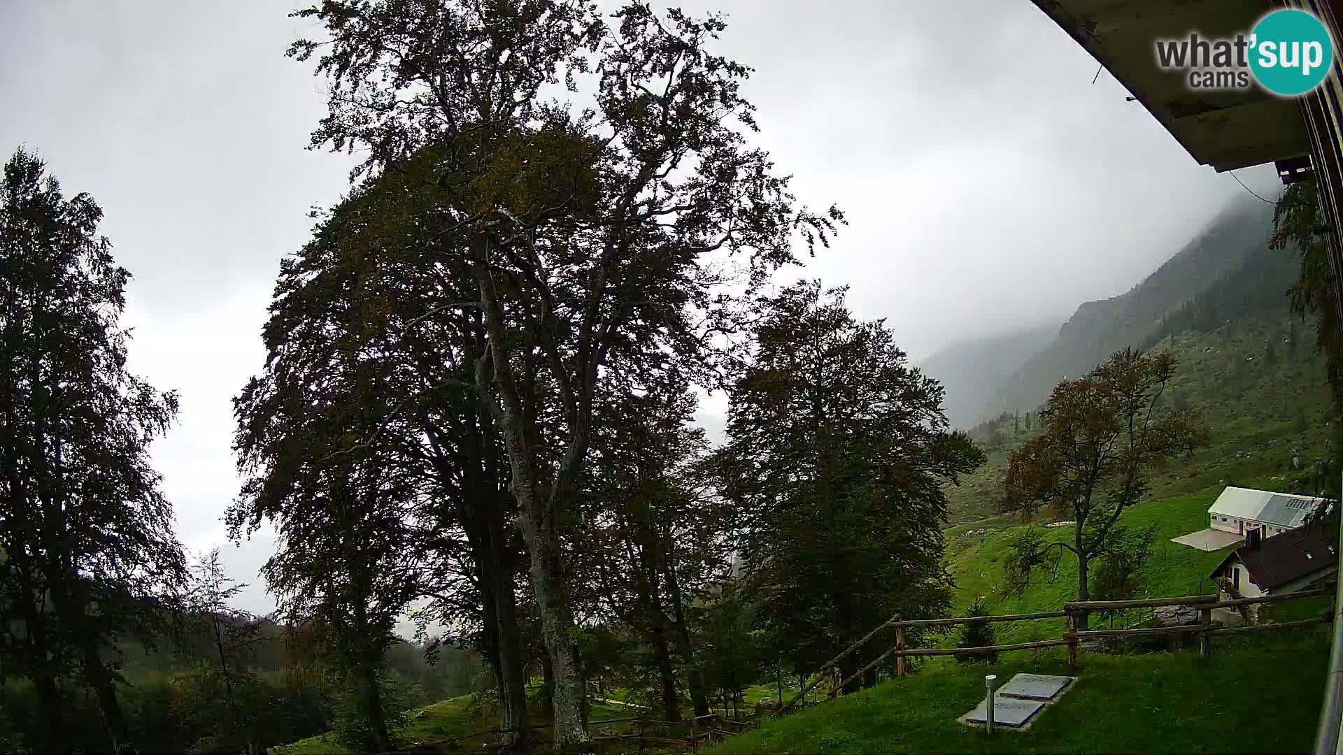 Planina Razor Mountain Hut live cam (1315) | view to Tolminski Migovec