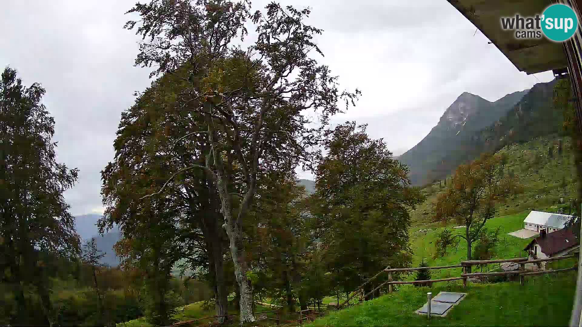 Cámara en vivo de la cabaña de montaña Planina Razor (1315) | vista hacia Tolminski Migovec
