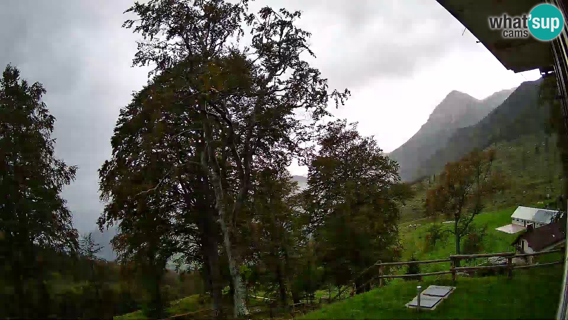 Planina Razor Bergütte Webcam (1315) | Blick auf Tolminski Migovec