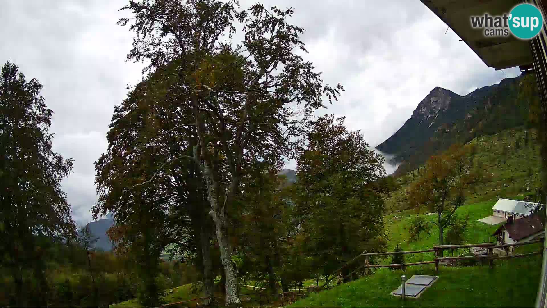 Planina Razor Mountain Hut live cam (1315) | view to Tolminski Migovec