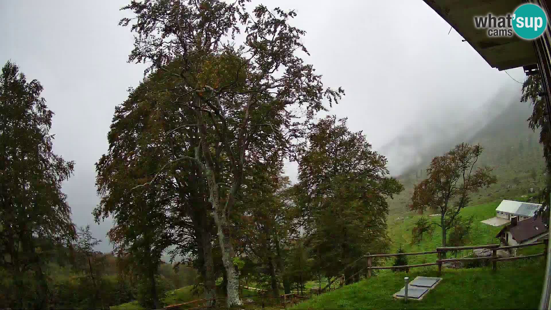 Baita di montagna Planina Razor webcam (1315) | vista su Tolminski Migovec