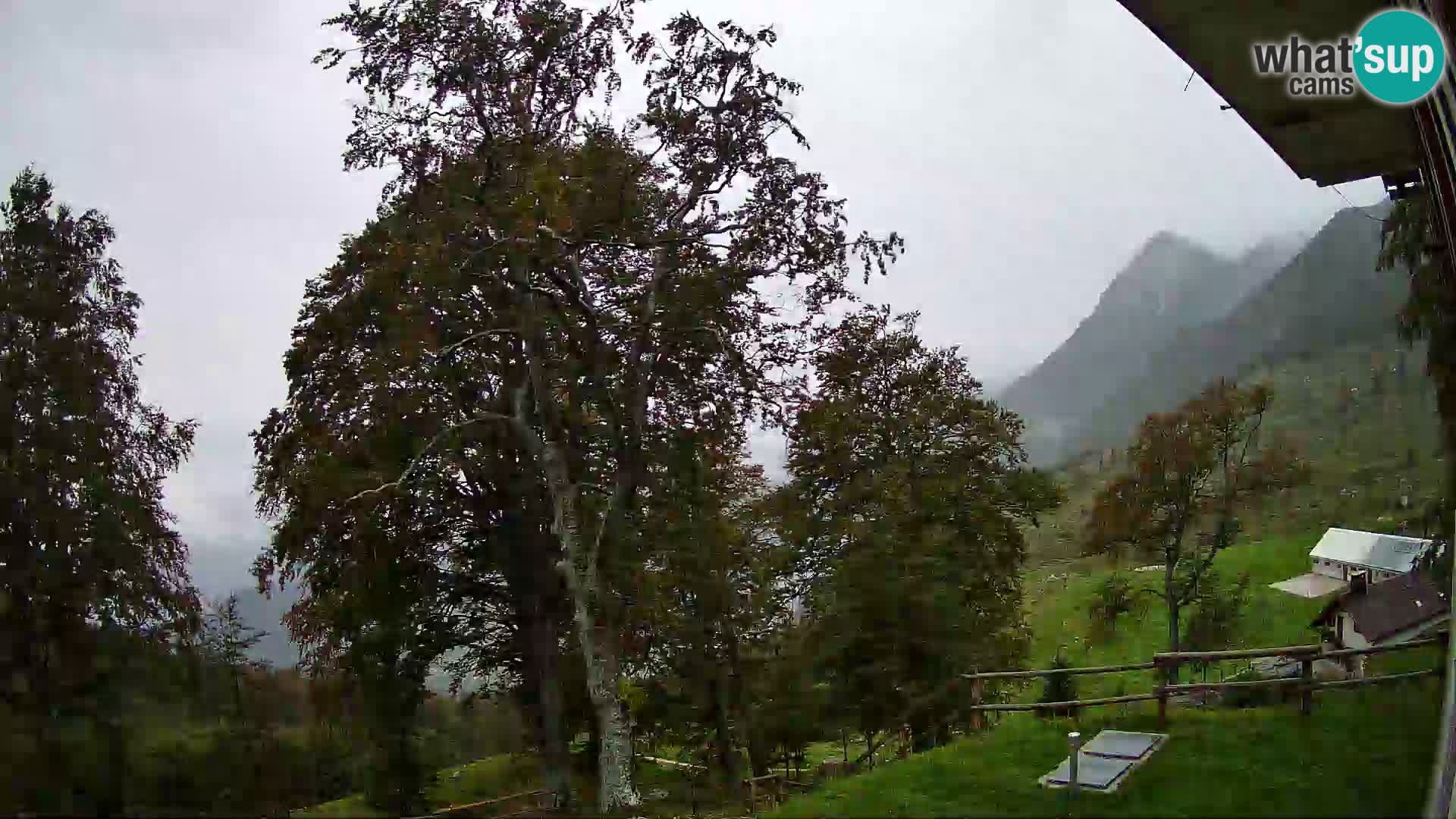Cámara en vivo de la cabaña de montaña Planina Razor (1315) | vista hacia Tolminski Migovec