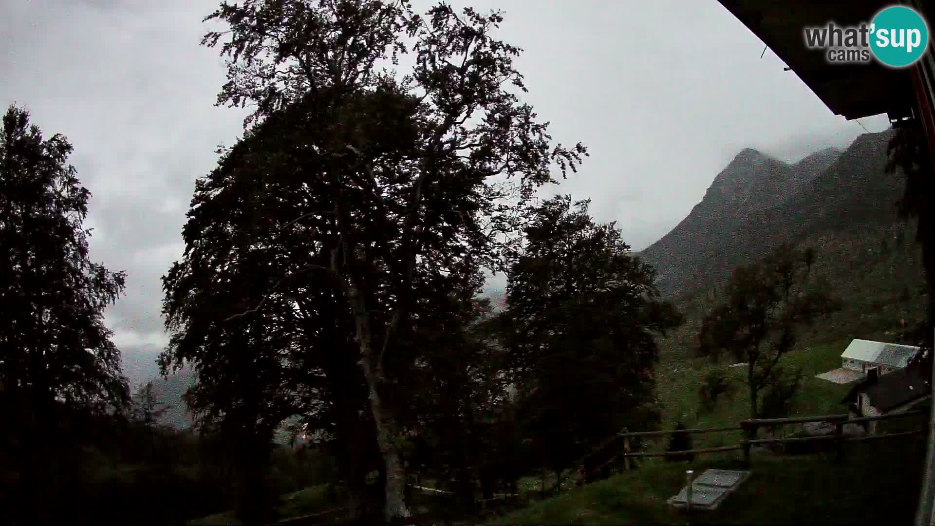 Refuge de la montagne Planina Razor caméra en direct (1315) | vue sur Tolminski Migovec