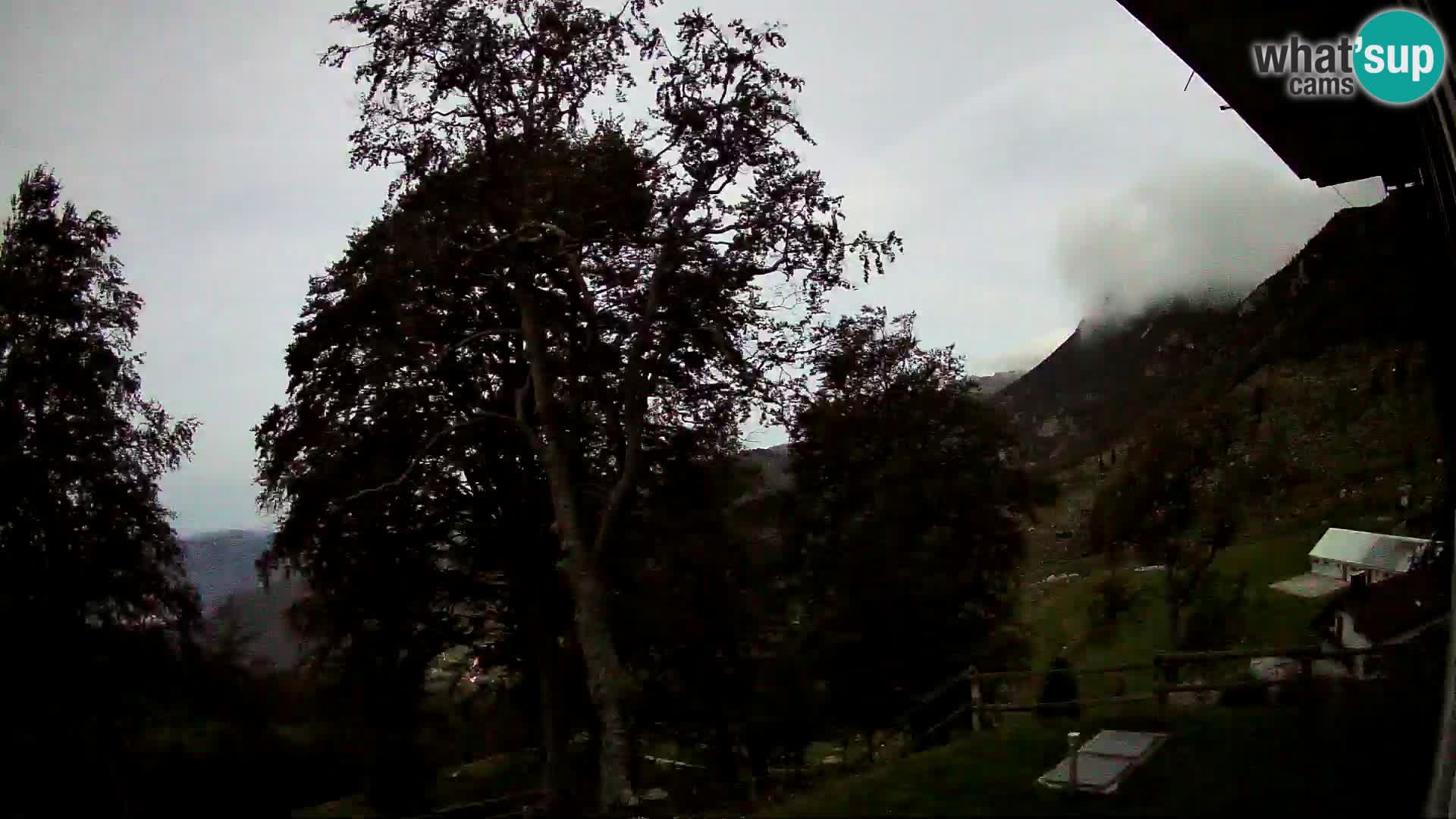 Baita di montagna Planina Razor webcam (1315) | vista su Tolminski Migovec