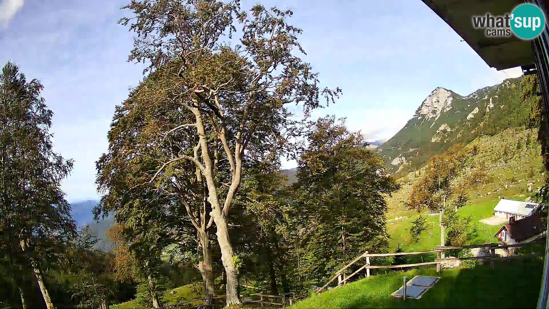 Baita di montagna Planina Razor webcam (1315) | vista su Tolminski Migovec