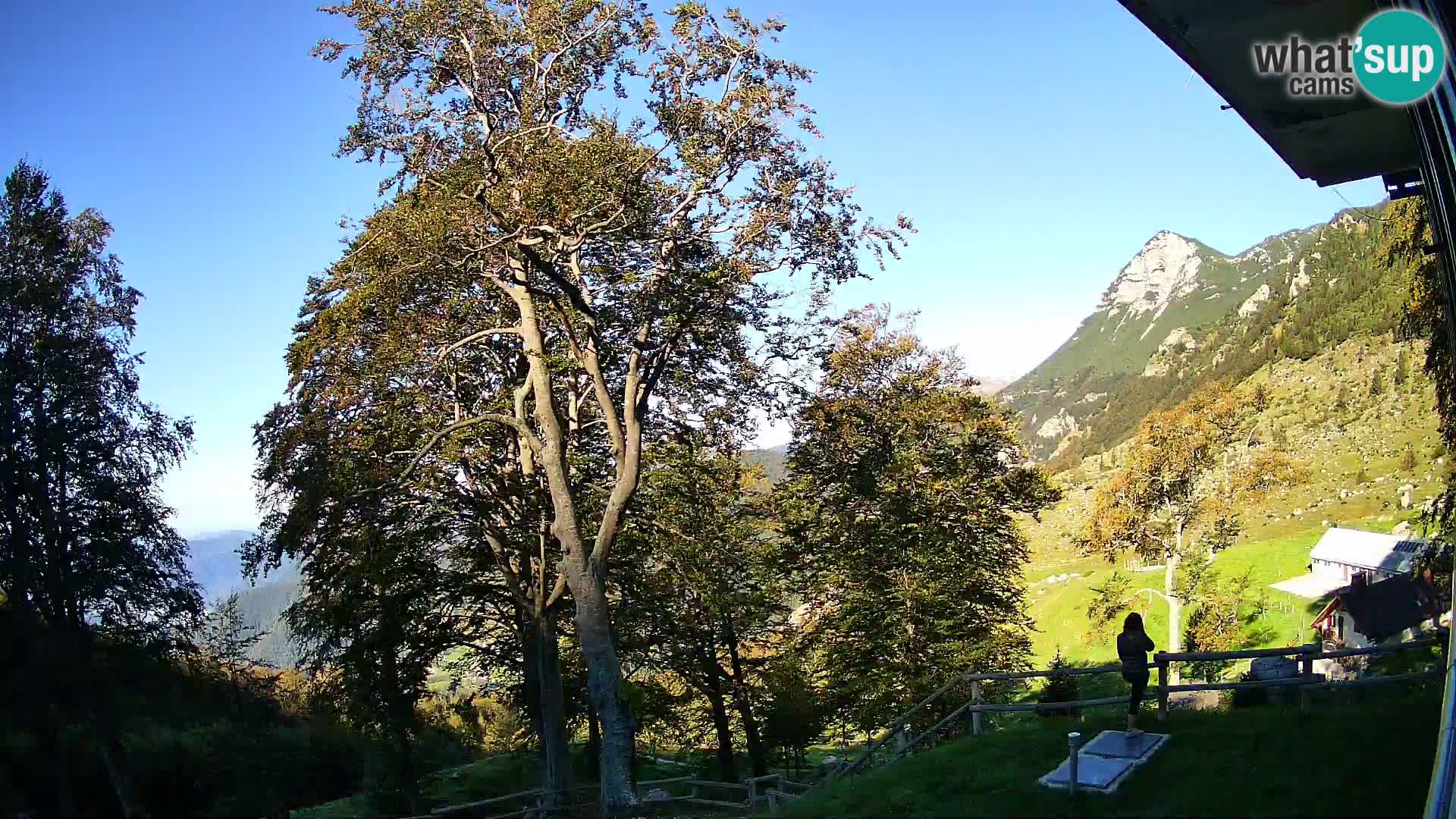 Planina Razor Mountain Hut live cam (1315) | view to Tolminski Migovec