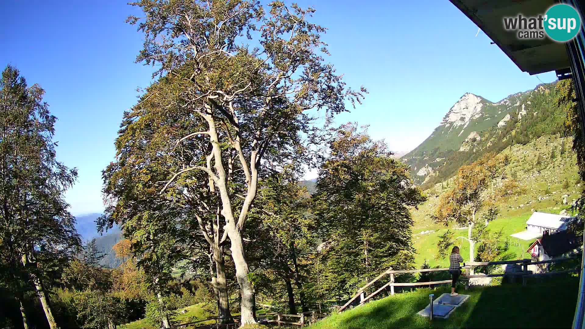 Baita di montagna Planina Razor webcam (1315) | vista su Tolminski Migovec