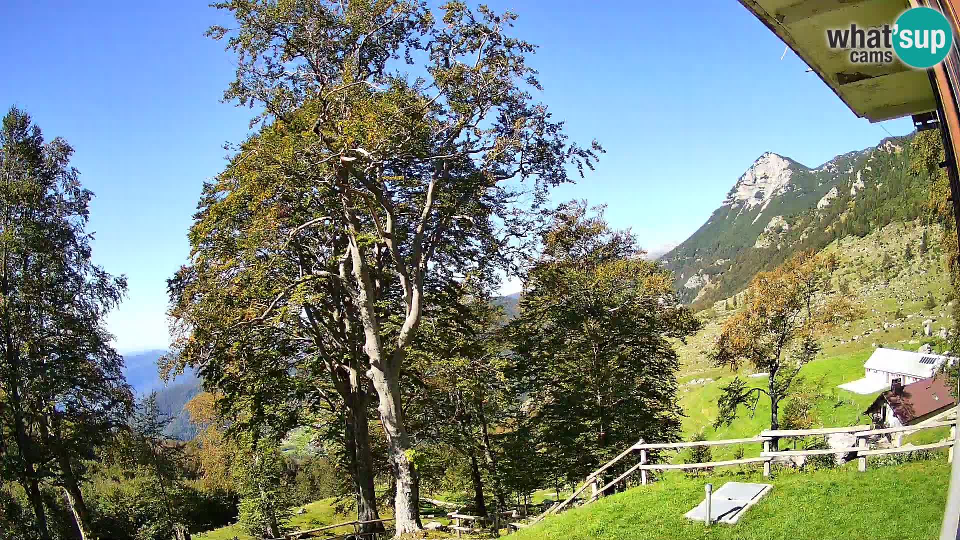 Planina Razor Mountain Hut live cam (1315) | view to Tolminski Migovec