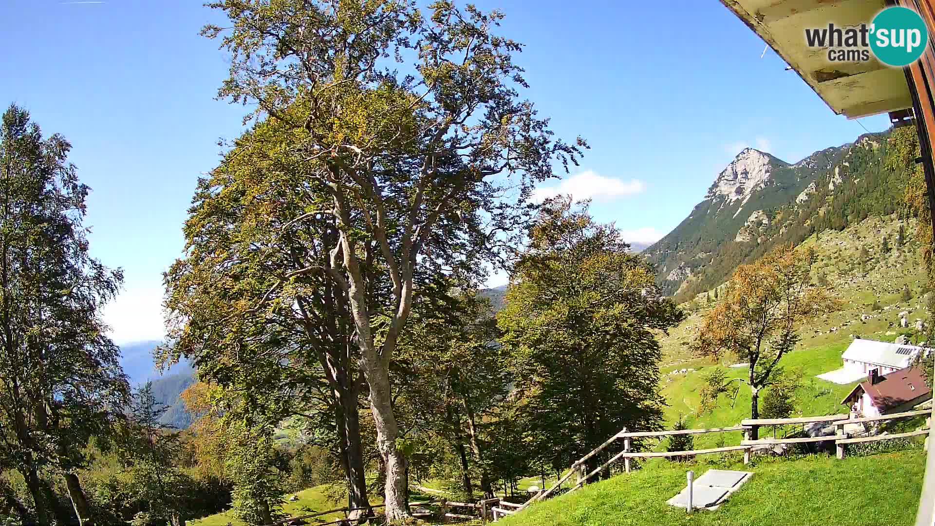 Baita di montagna Planina Razor webcam (1315) | vista su Tolminski Migovec