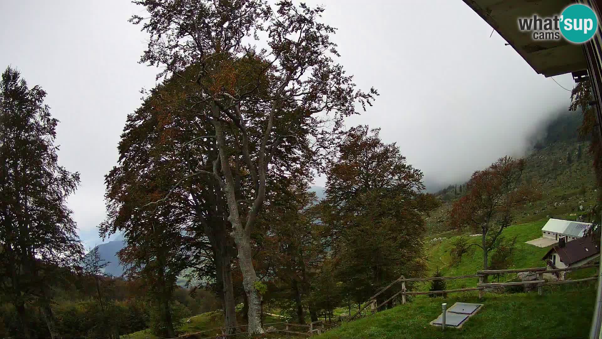 Cámara en vivo de la cabaña de montaña Planina Razor (1315) | vista hacia Tolminski Migovec
