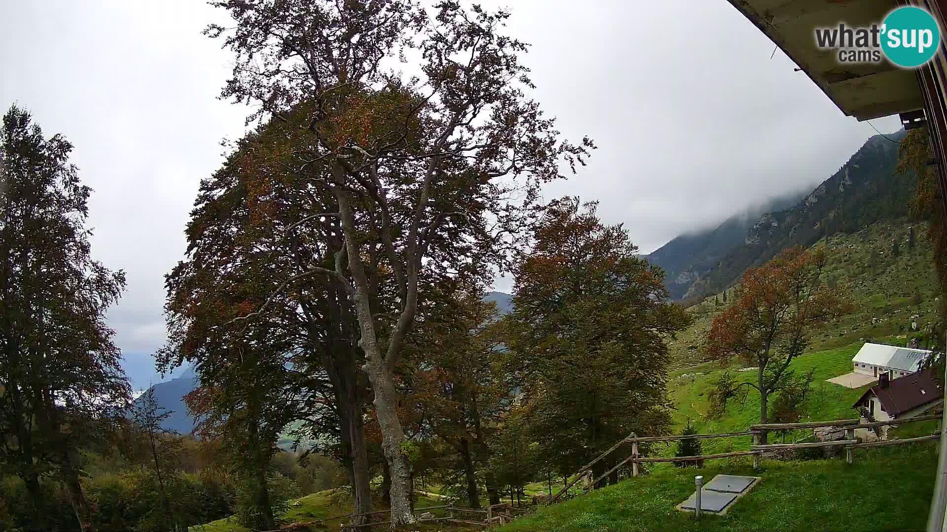 Planina Razor Bergütte Webcam (1315) | Blick auf Tolminski Migovec