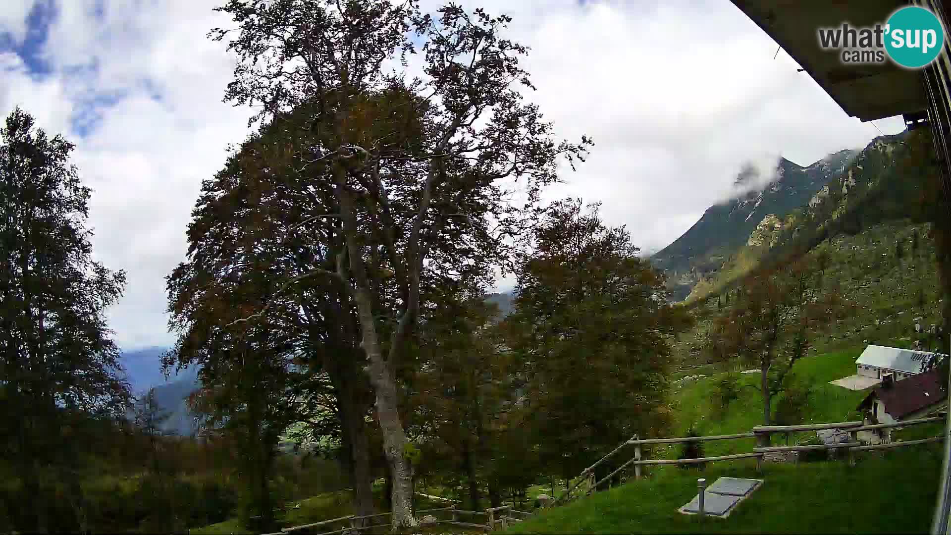 Planina Razor Mountain Hut live cam (1315) | view to Tolminski Migovec