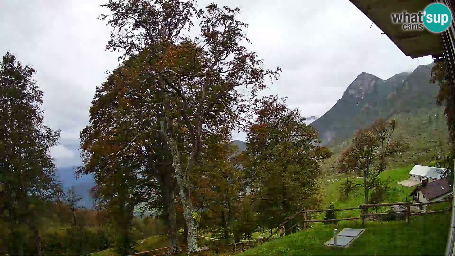 Planina Razor Bergütte Webcam (1315) | Blick auf Tolminski Migovec